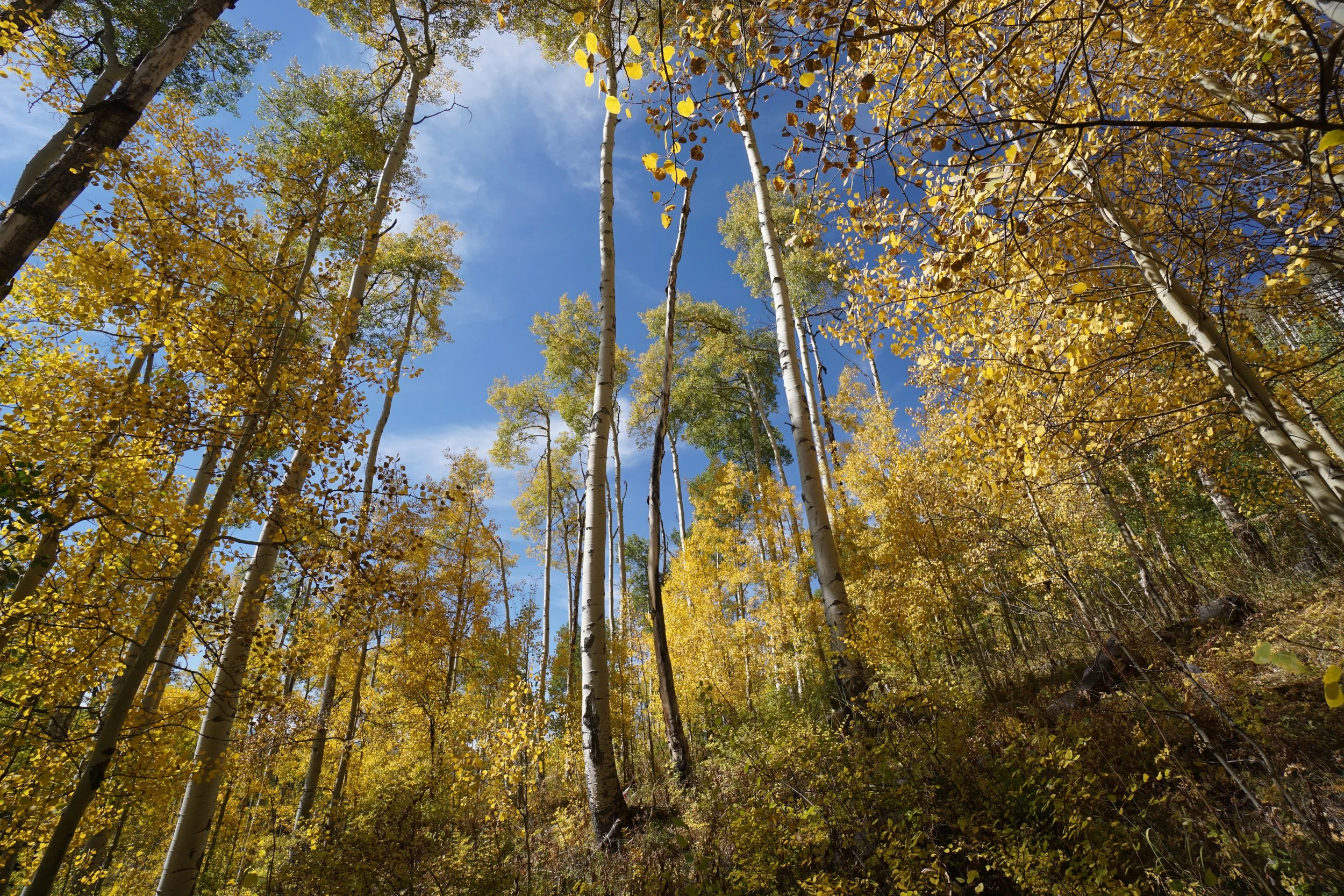 Eagle LakeDSC06996.JPG