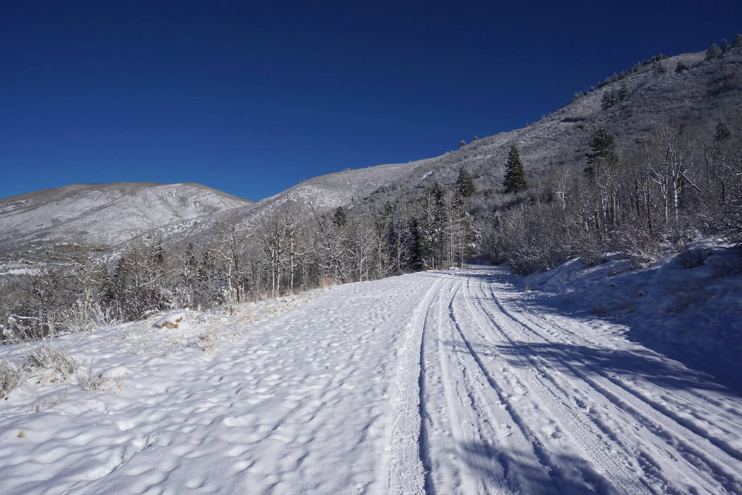 SmugglerMtDSC06342-X5 (1).jpg