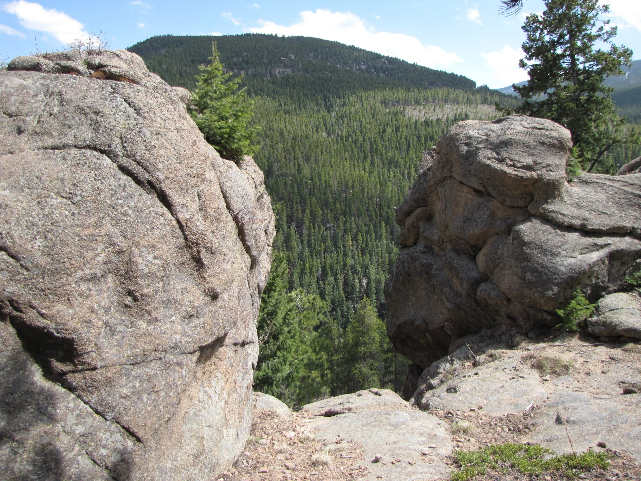 MaxwellFallsIMG_8046.jpg