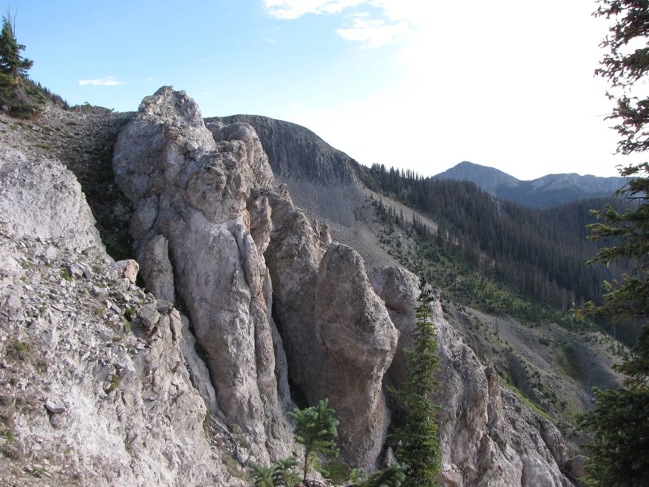 IMG_4014-X2.jpg