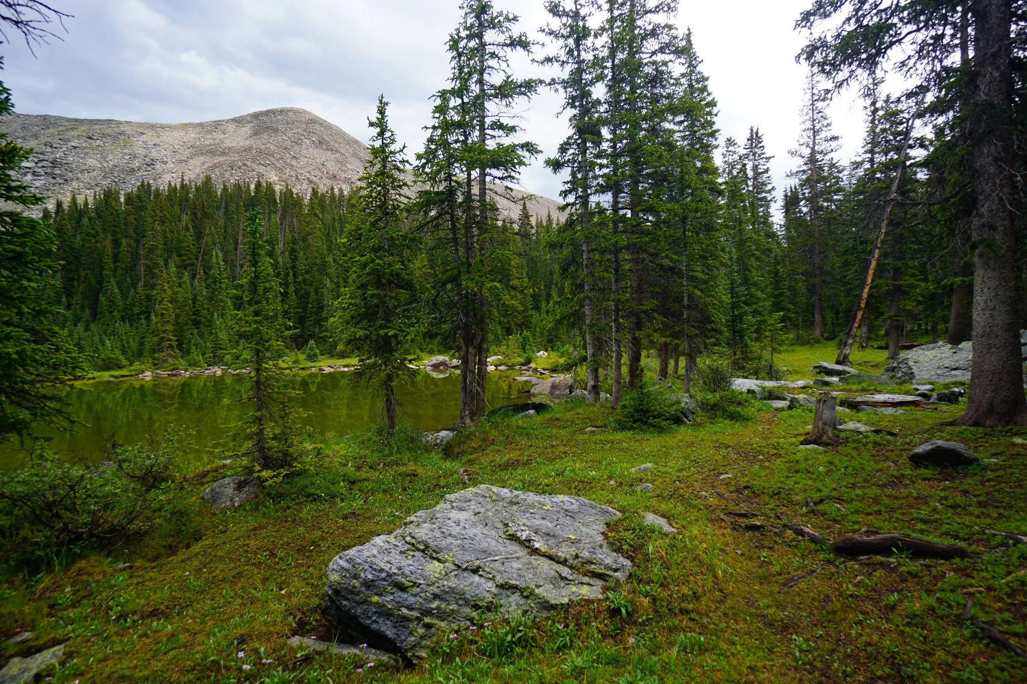 LamphierLakesDSC03808-2.jpg