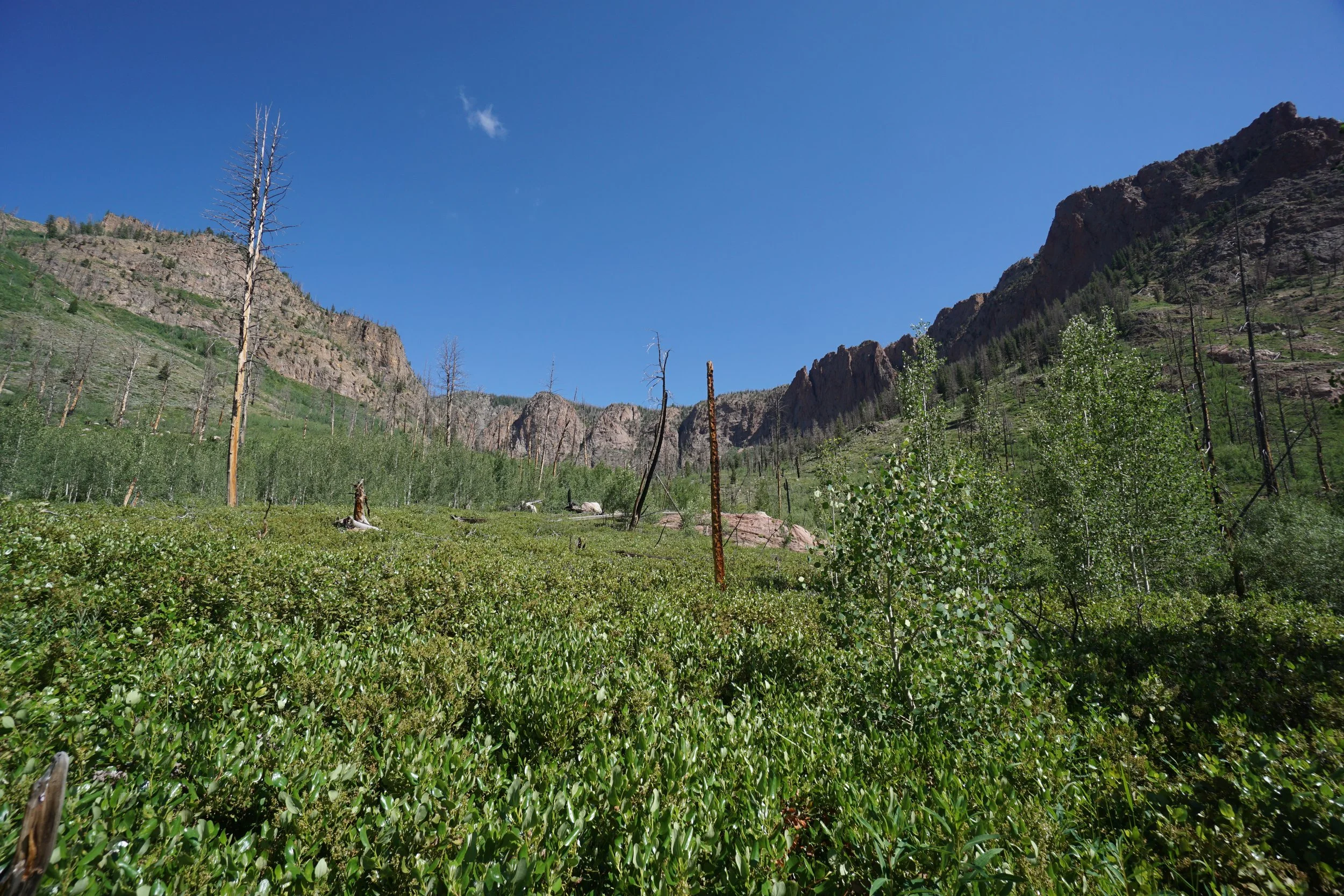 RedCanyonDSC04146.JPG