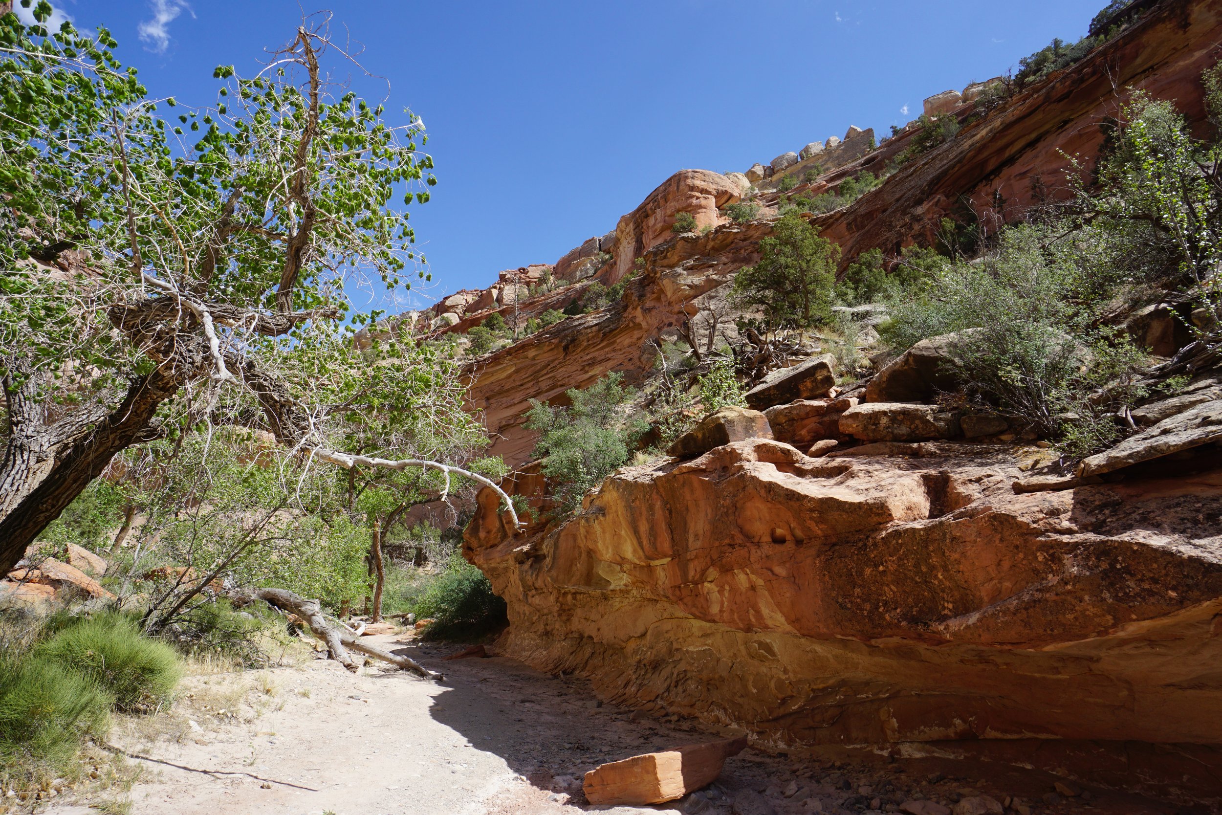 EchoCanyonCOLMDSC06228.JPG