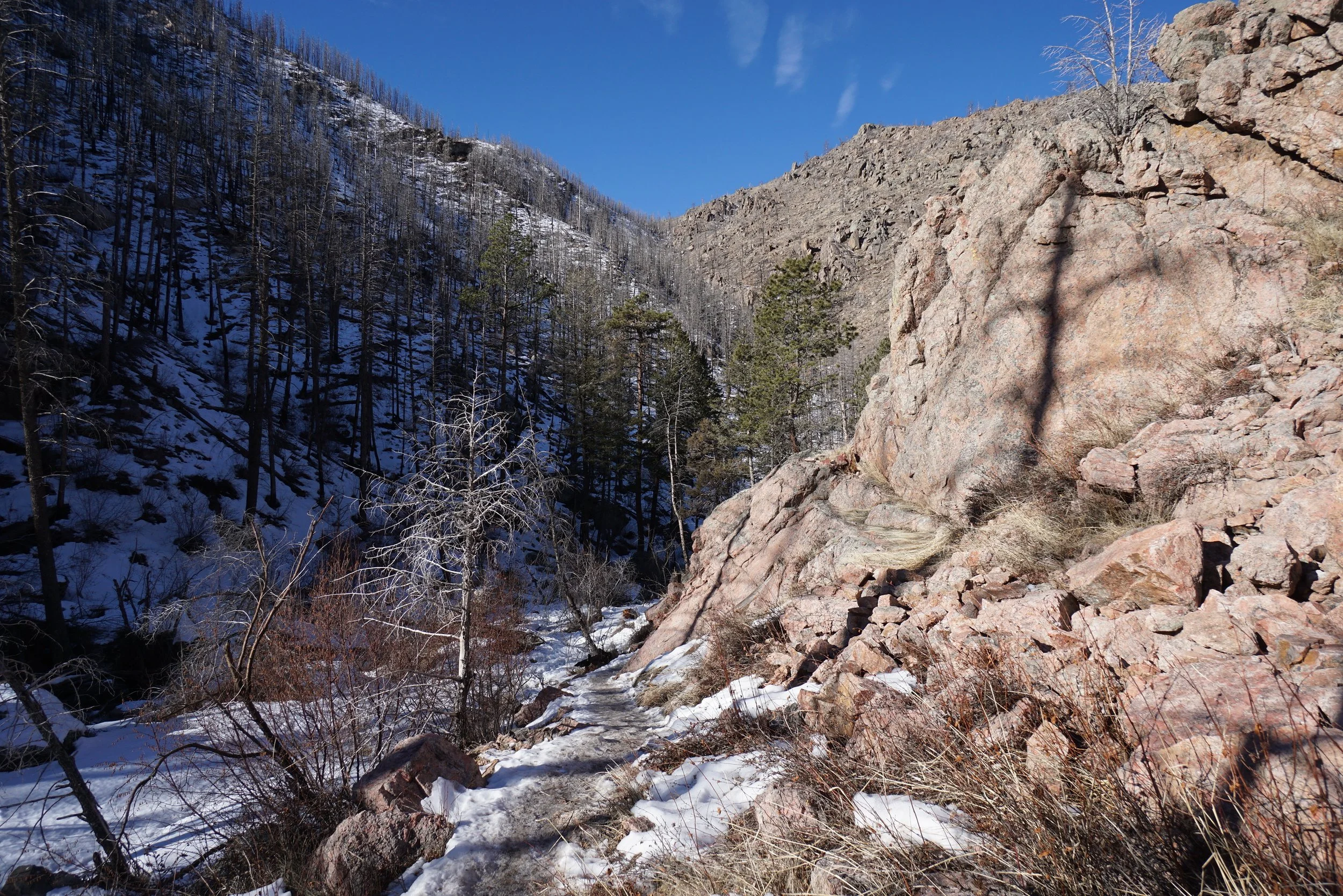 YoungGulchDSC00000-88-X5.jpg
