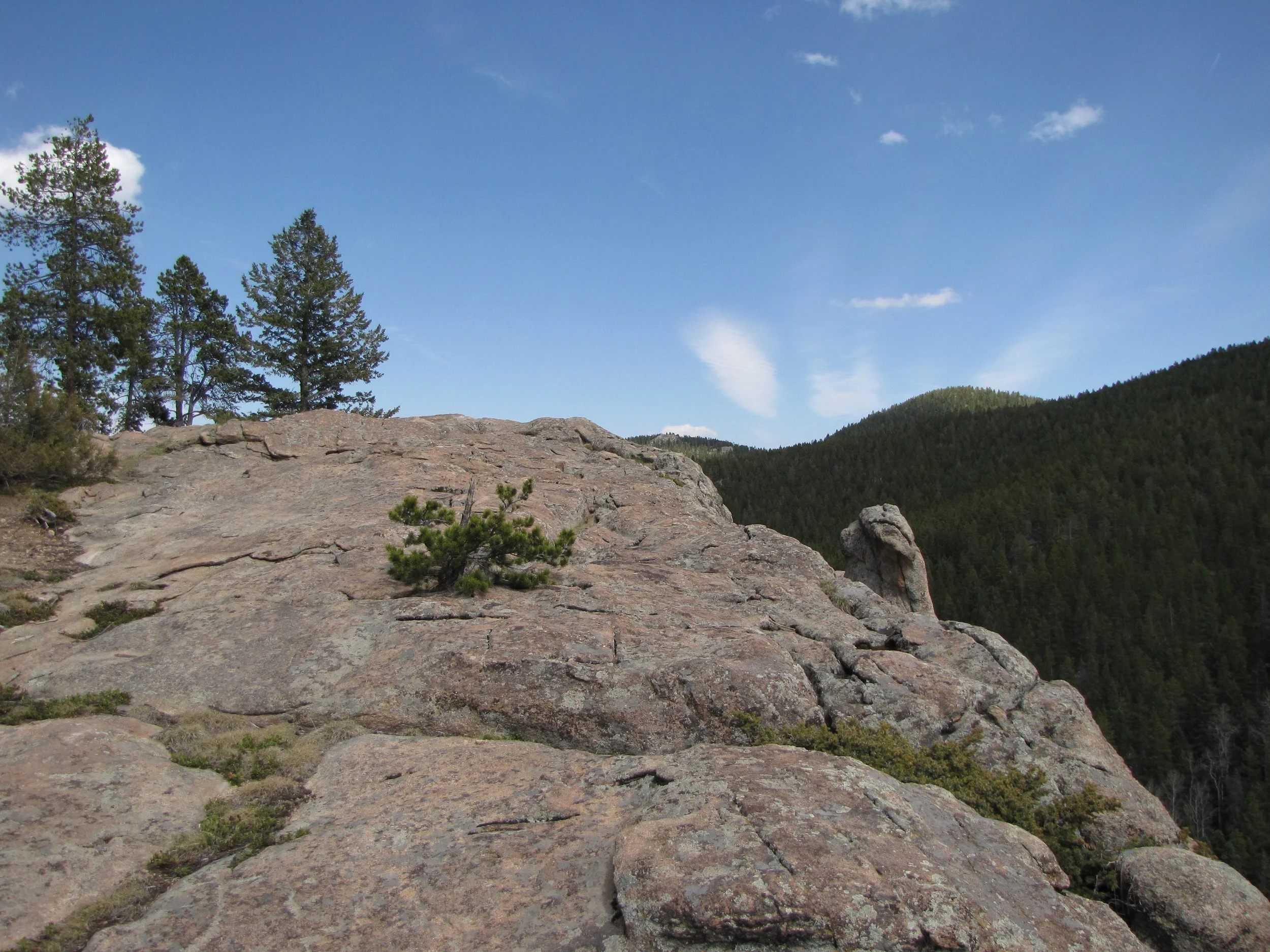 MaxwellFallsIMG_8062.jpg