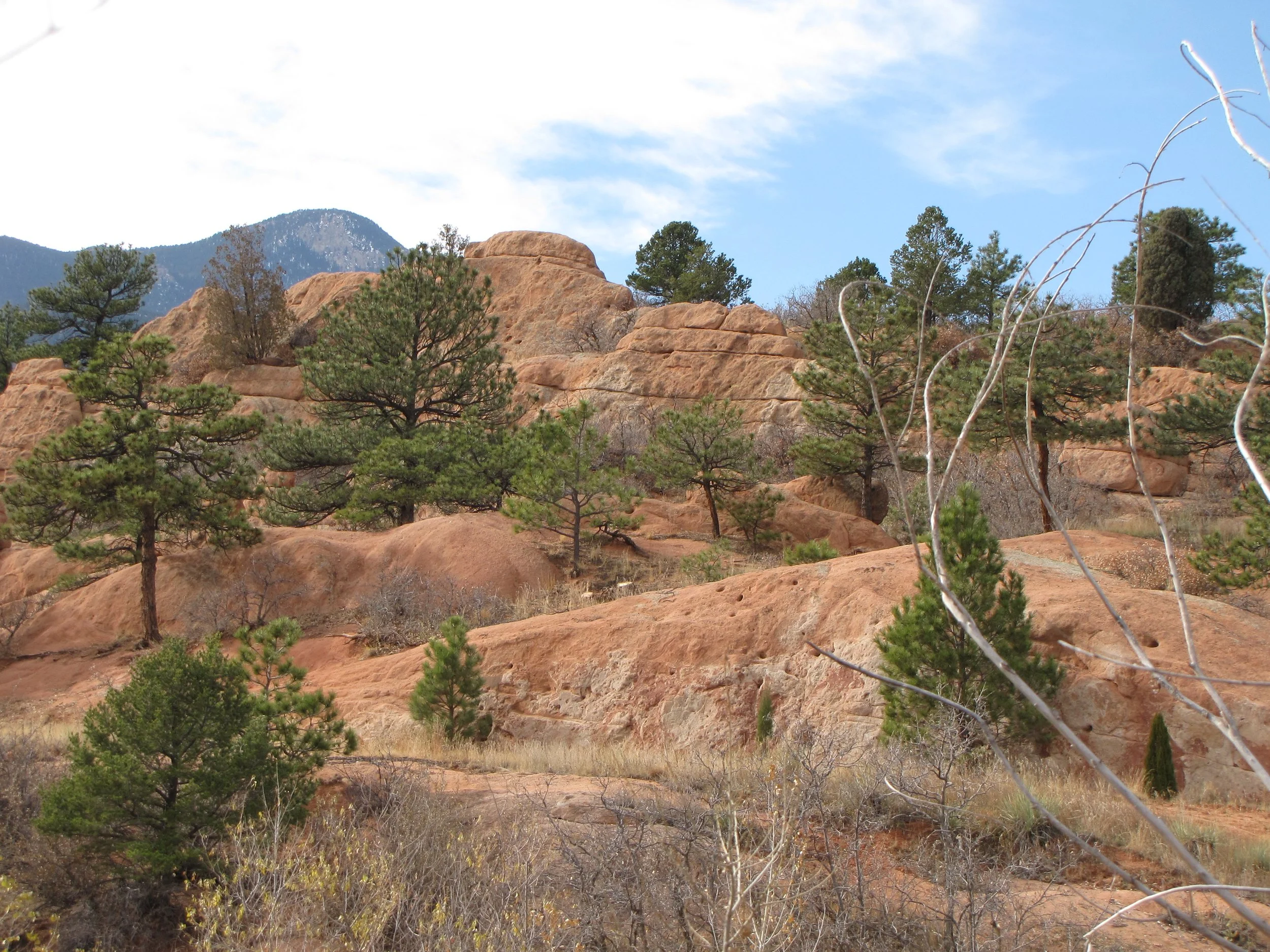 RedRocksCynIMG_3778-X5.jpg