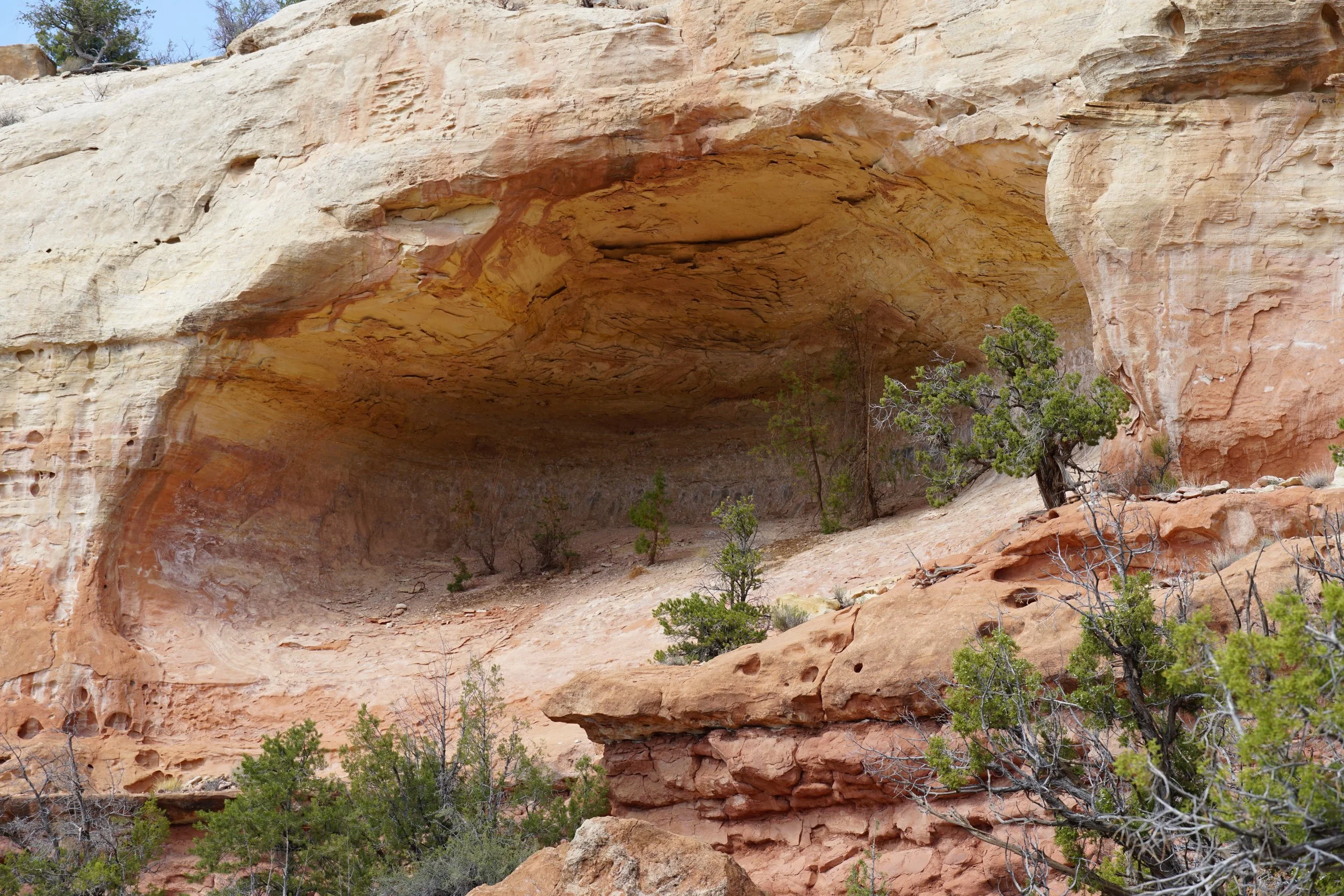SandCanyonDSC03498.JPG