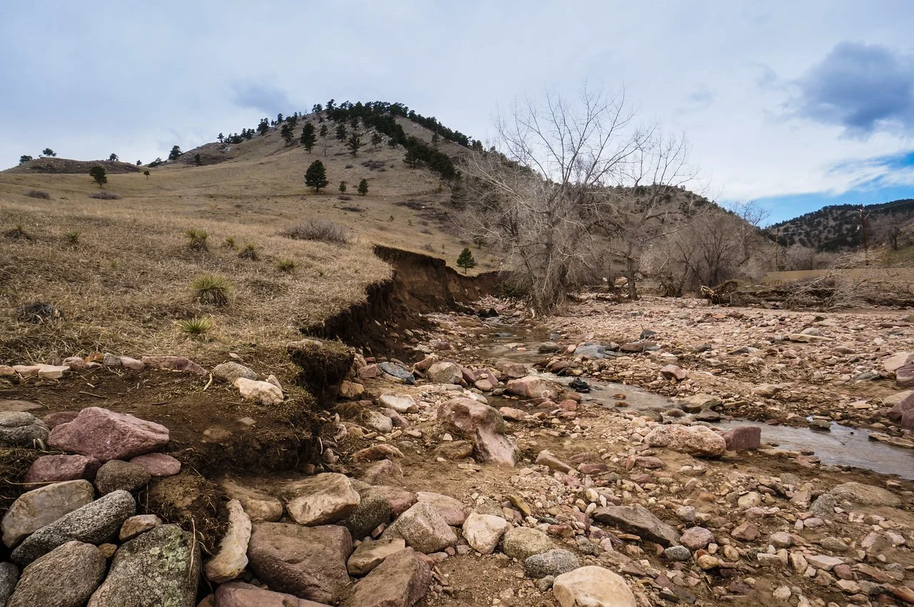 DSC08629-1 copy-X2.jpg