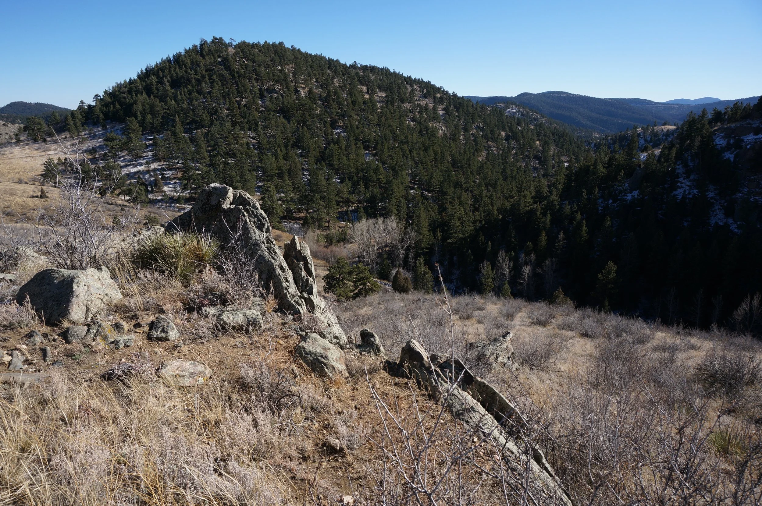TravoisEveningDSC07159.jpg