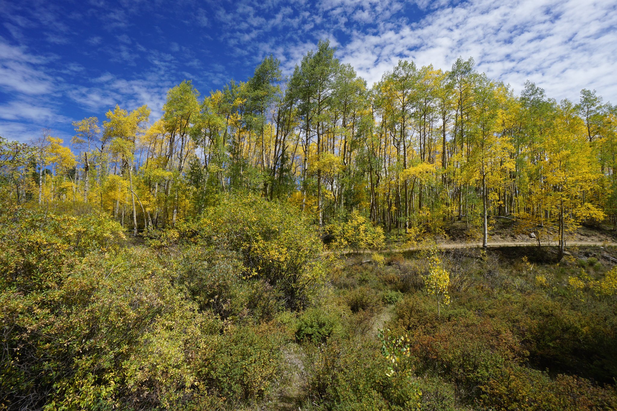 CTLowerElbertDSC04461-2.jpg