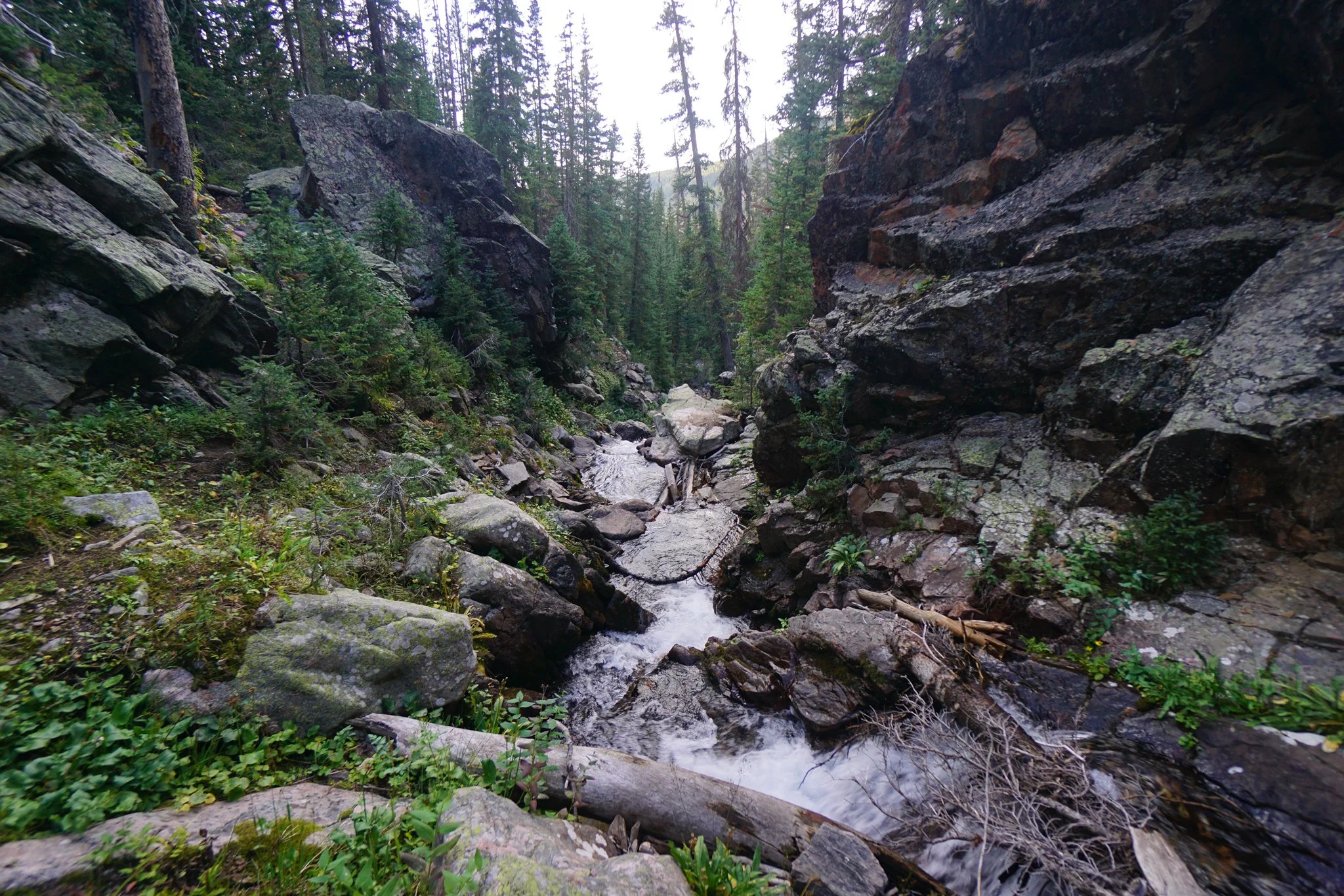 DSC04262-2.jpg