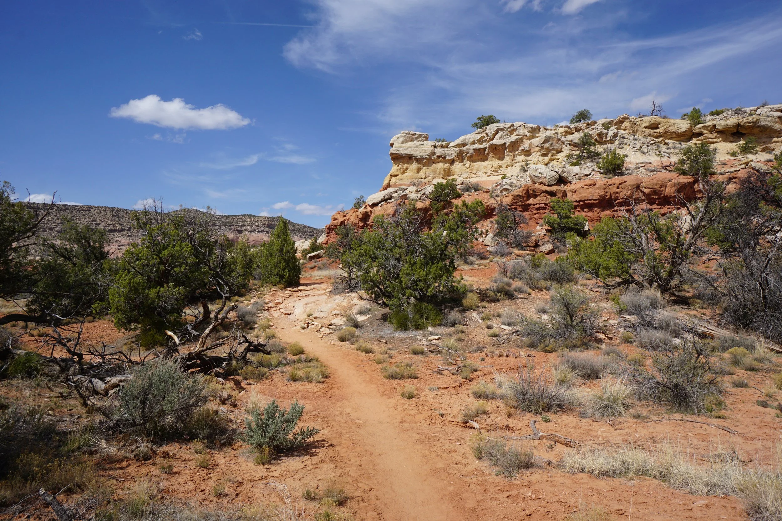 SandCanyonDSC03428.JPG