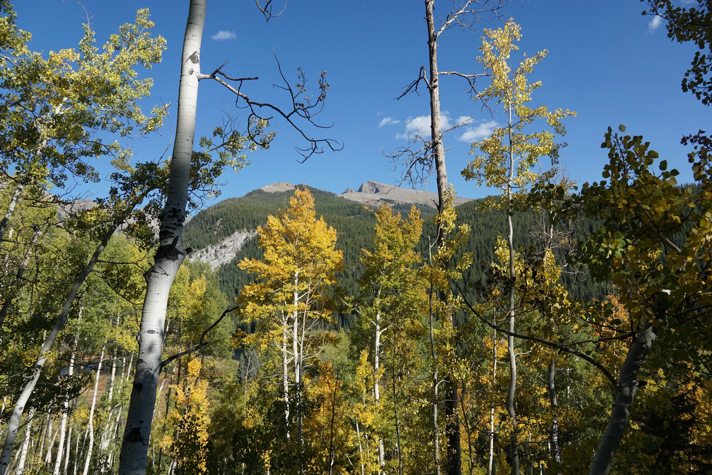 Eagle LakeDSC06660.JPG