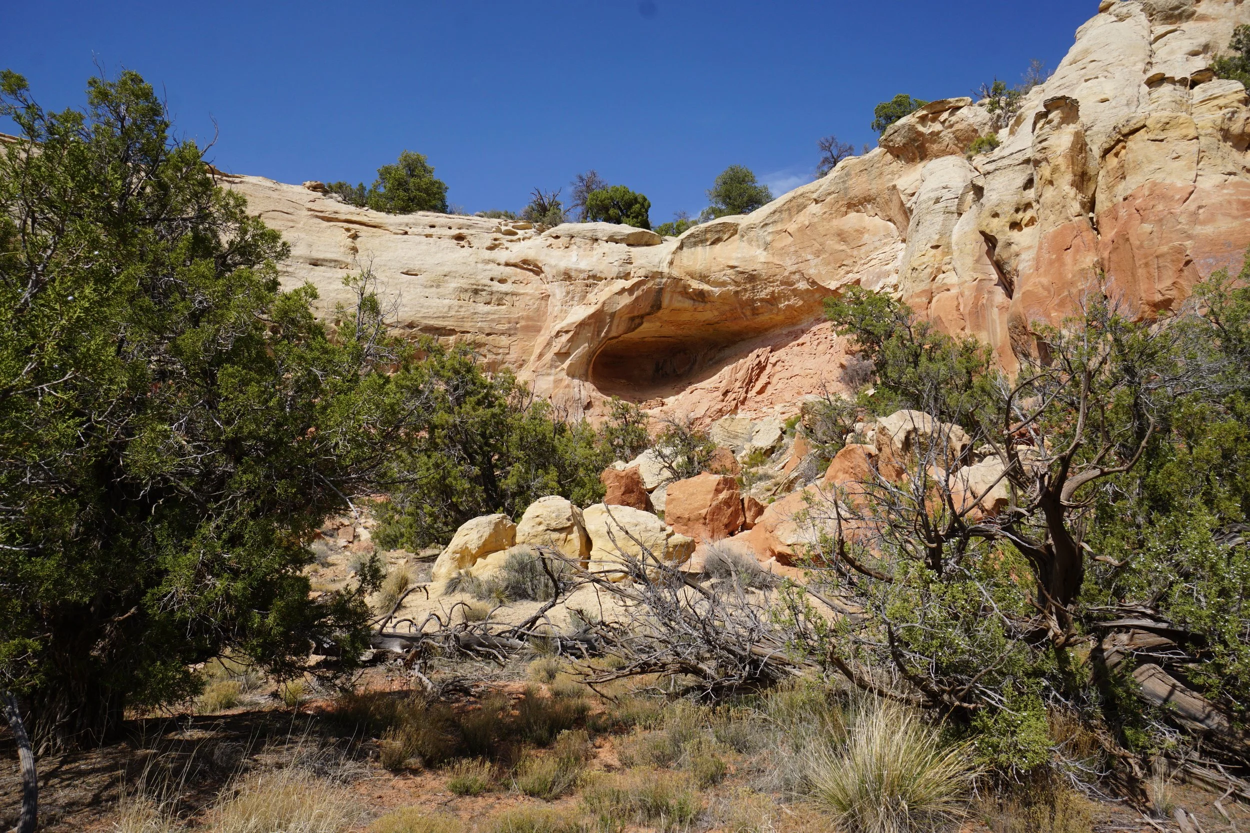 SandCanyonDSC03483.JPG