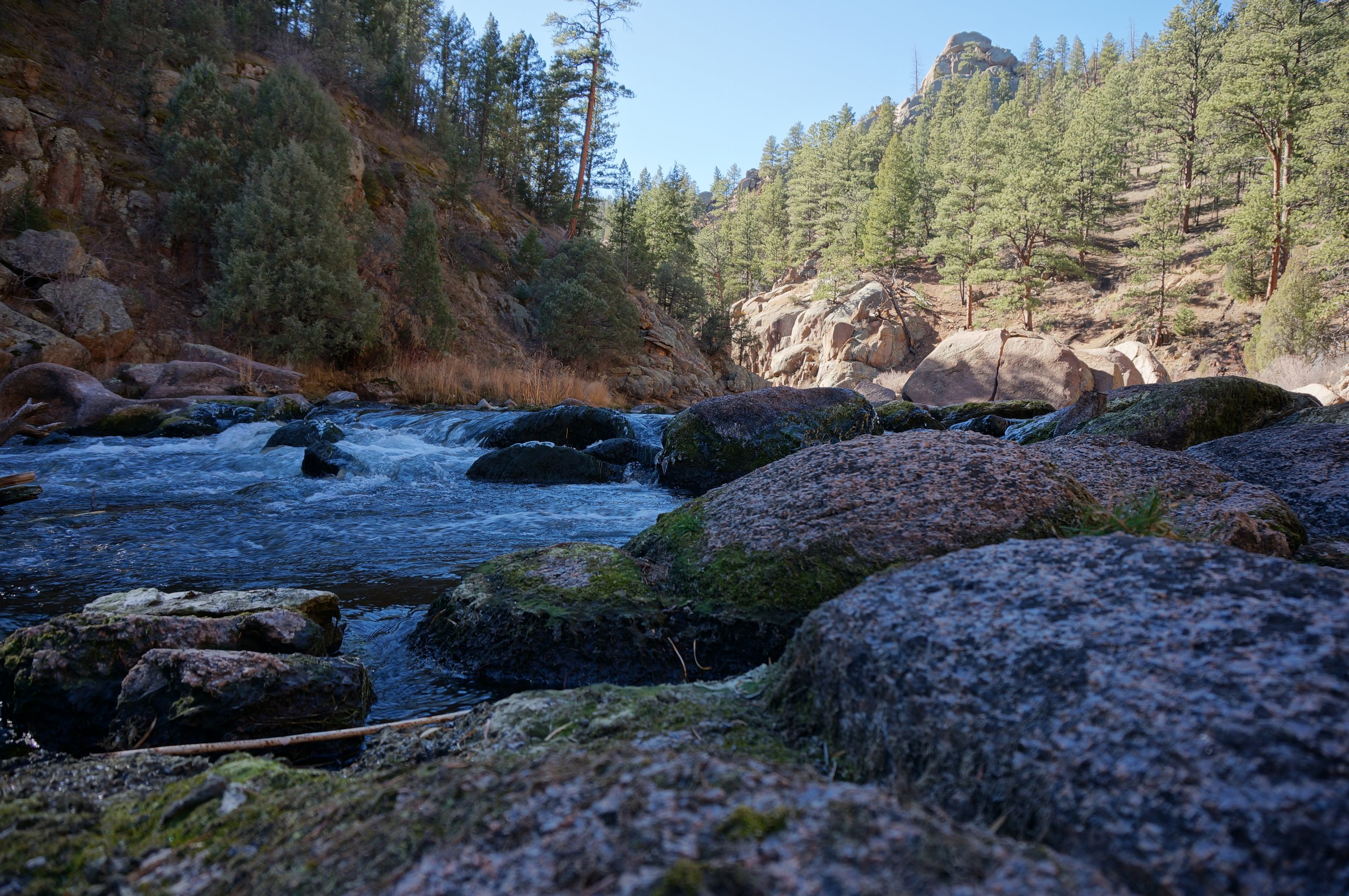 GillTrailDSC00596 HDR.JPG