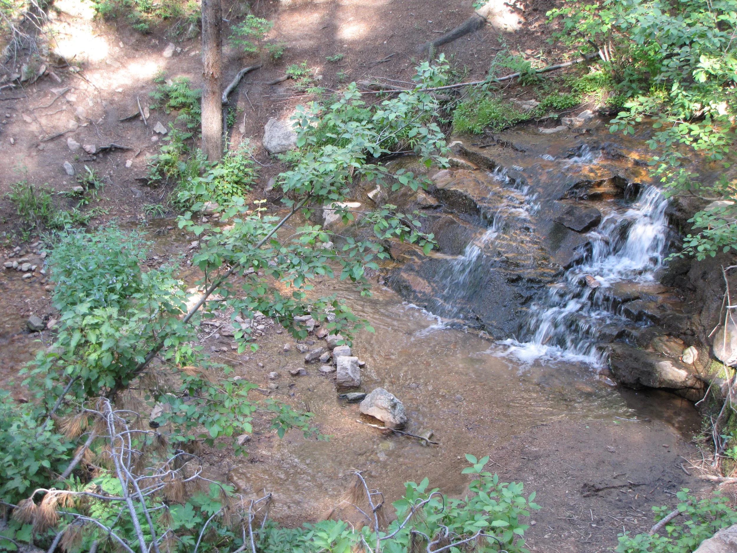 MaxwellFallsIMG_0419.jpg