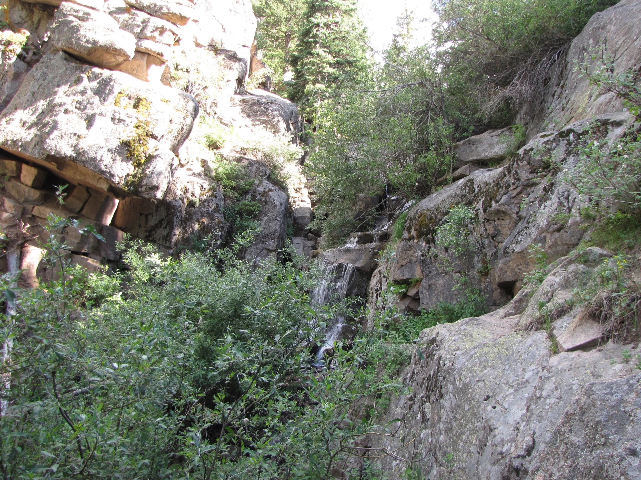 MaxwellFallsIMG_0410.jpg