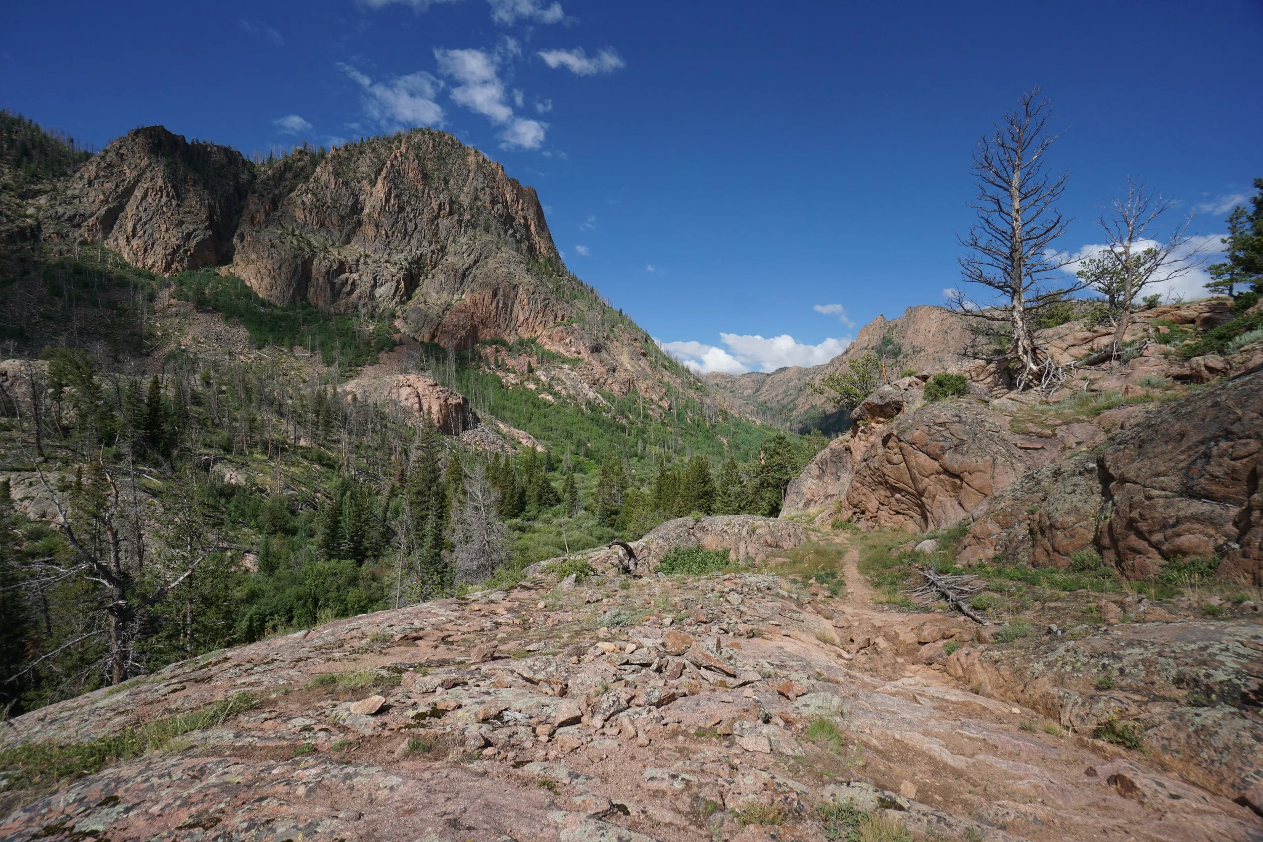 RedCanyonDSC04115.JPG