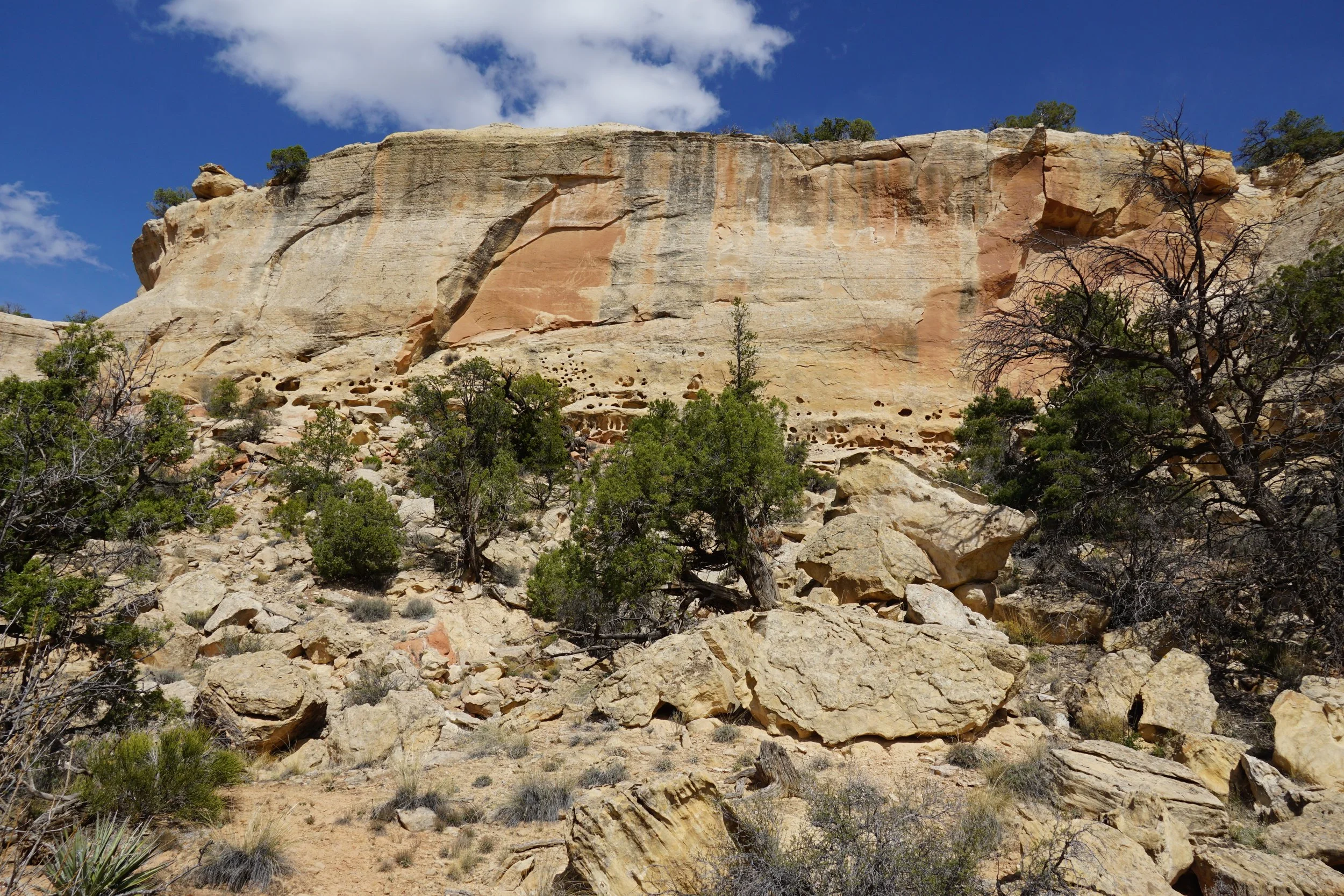SandCanyonDSC03454.JPG