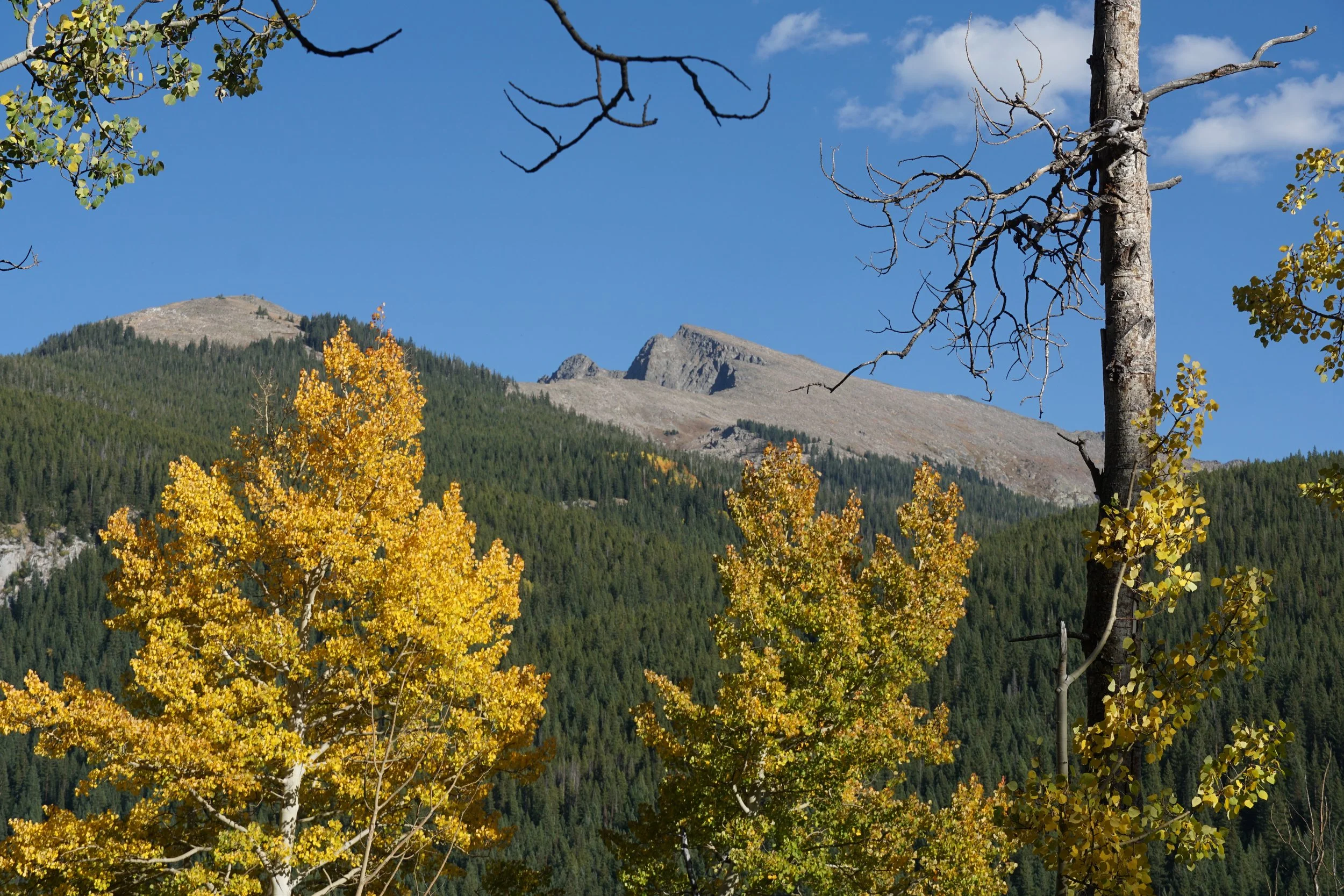 Eagle LakeDSC06661.JPG