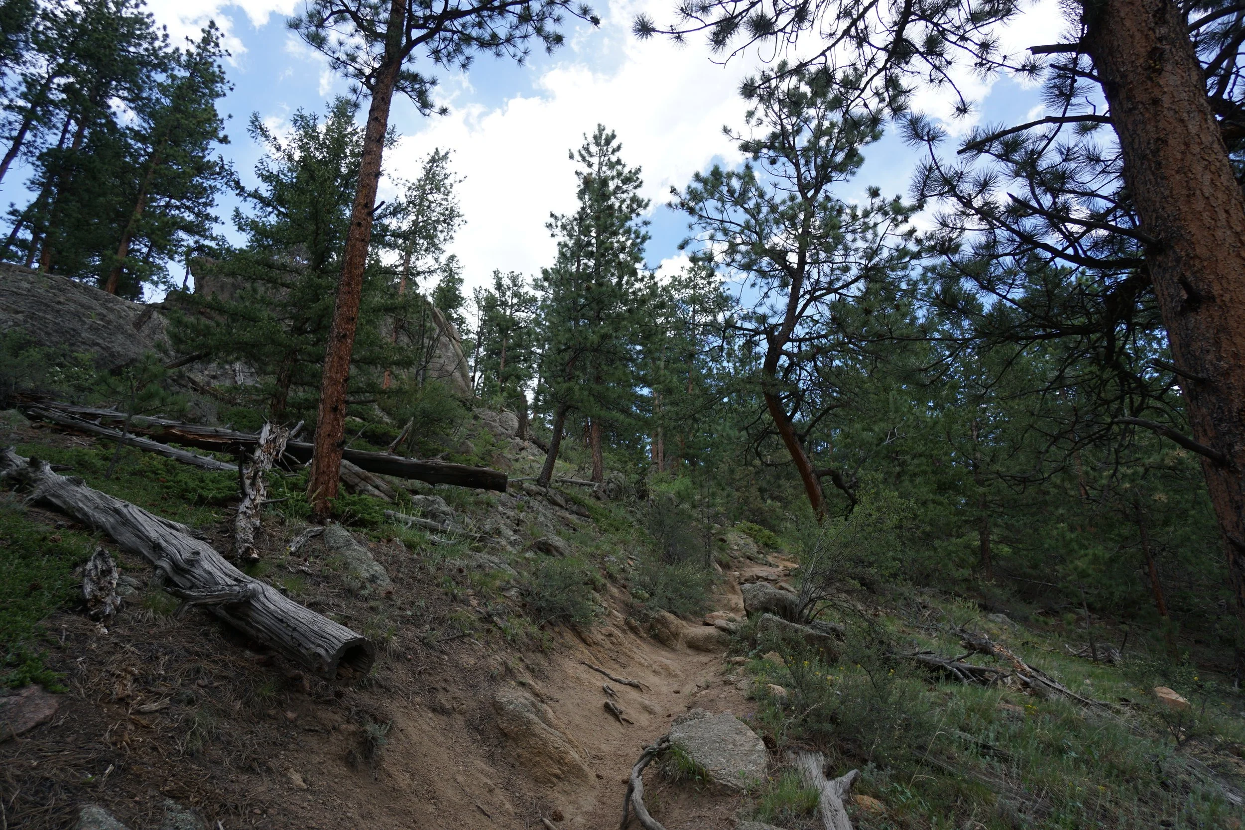 NorthForkCPWDSC03803-X5.jpg