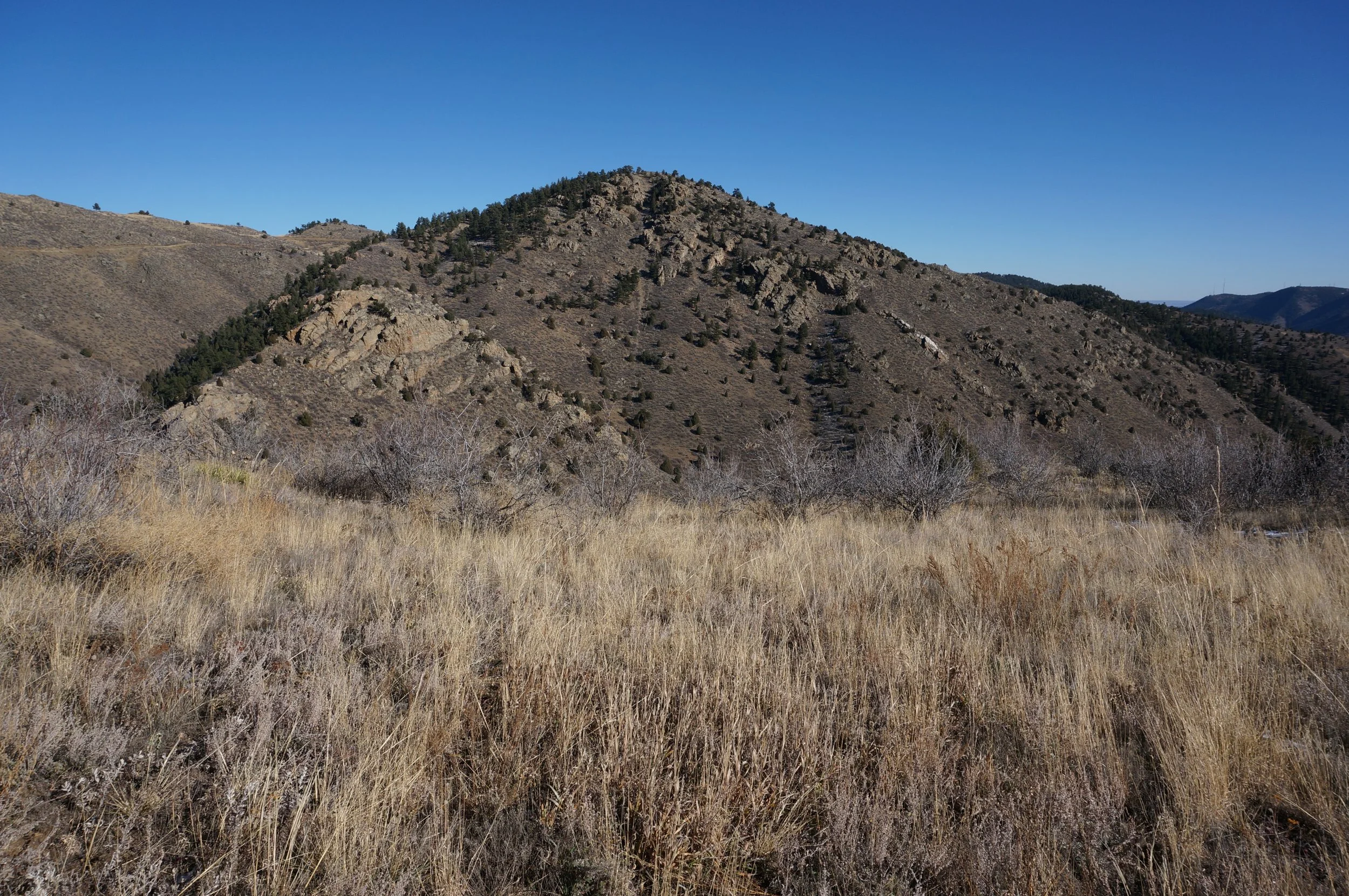 TravoisEveningDSC07150.jpg