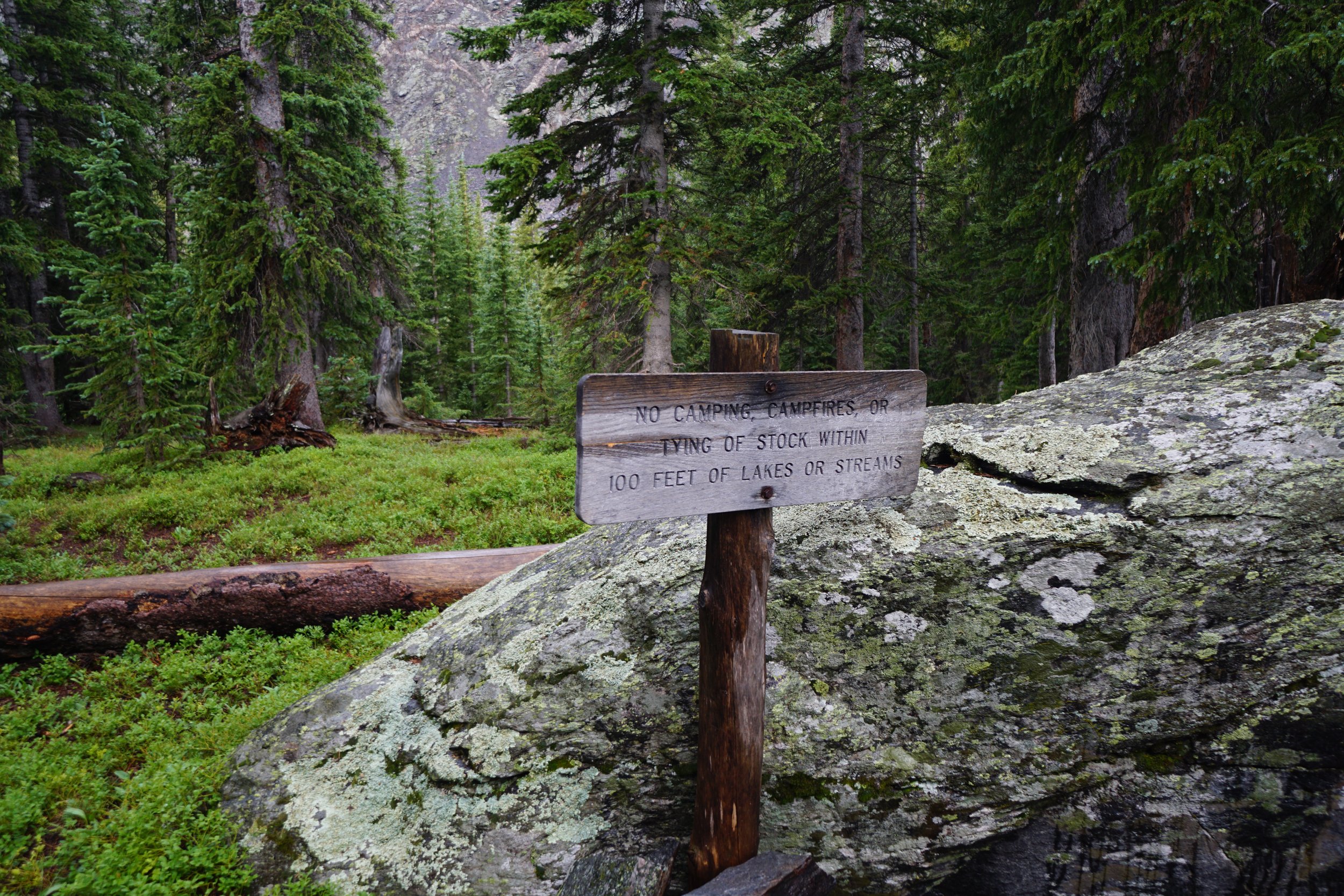 LamphierLakesDSC03743.JPG