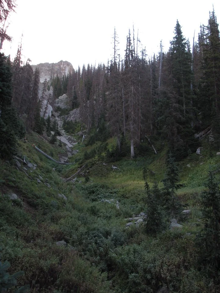 IMG_4009-X2.jpg