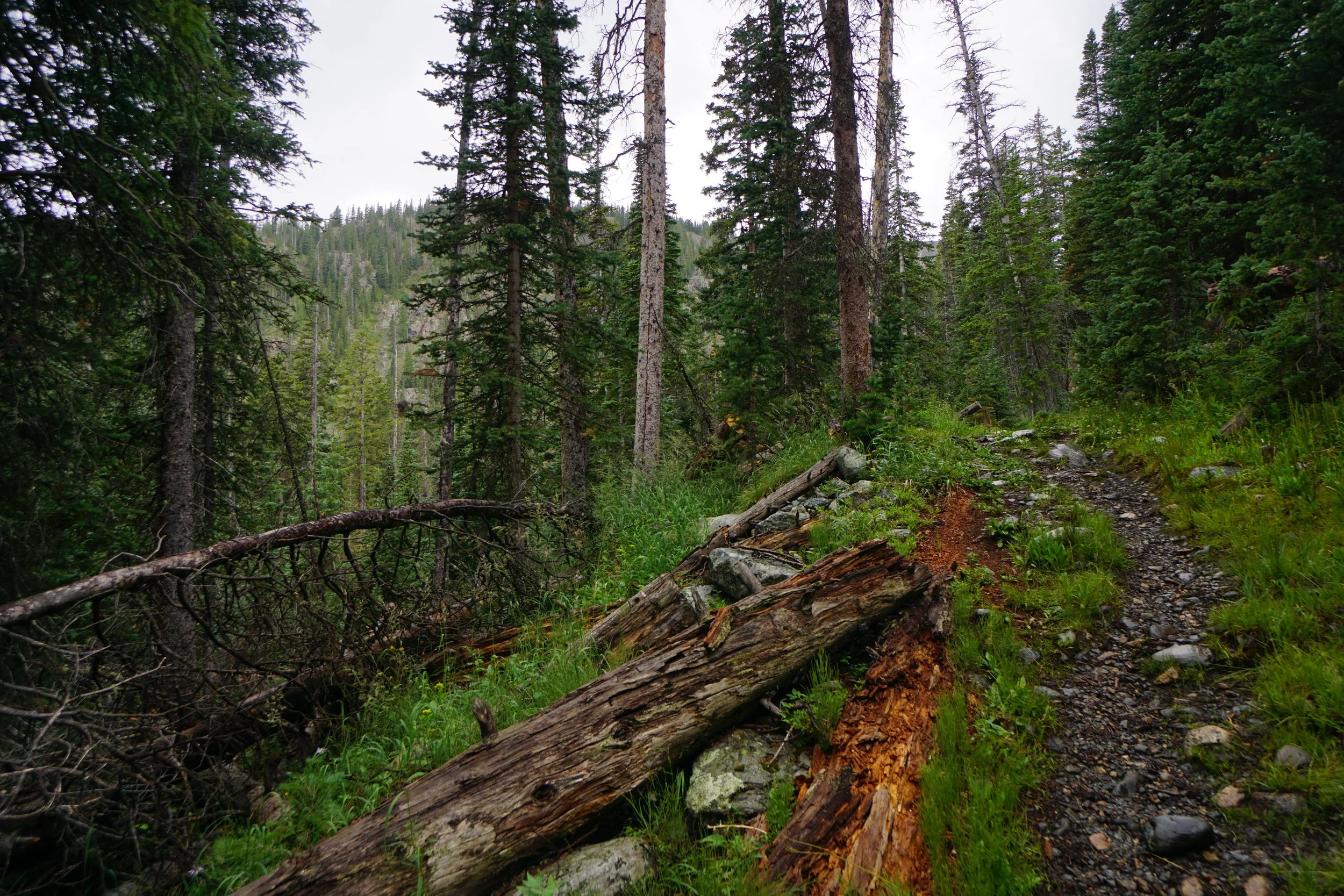 LamphierLakesDSC03705.JPG