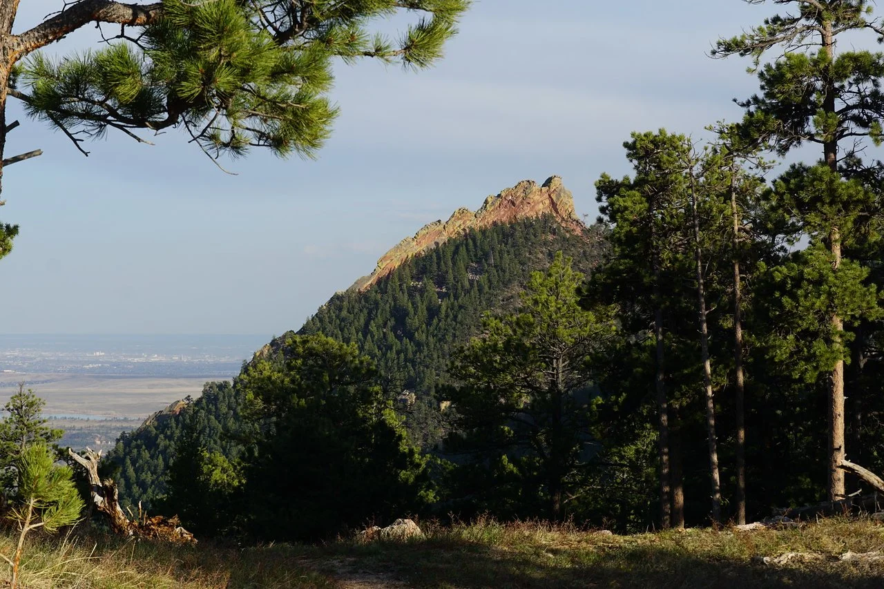 RangeViewOSMPDSC03643-X2.jpg
