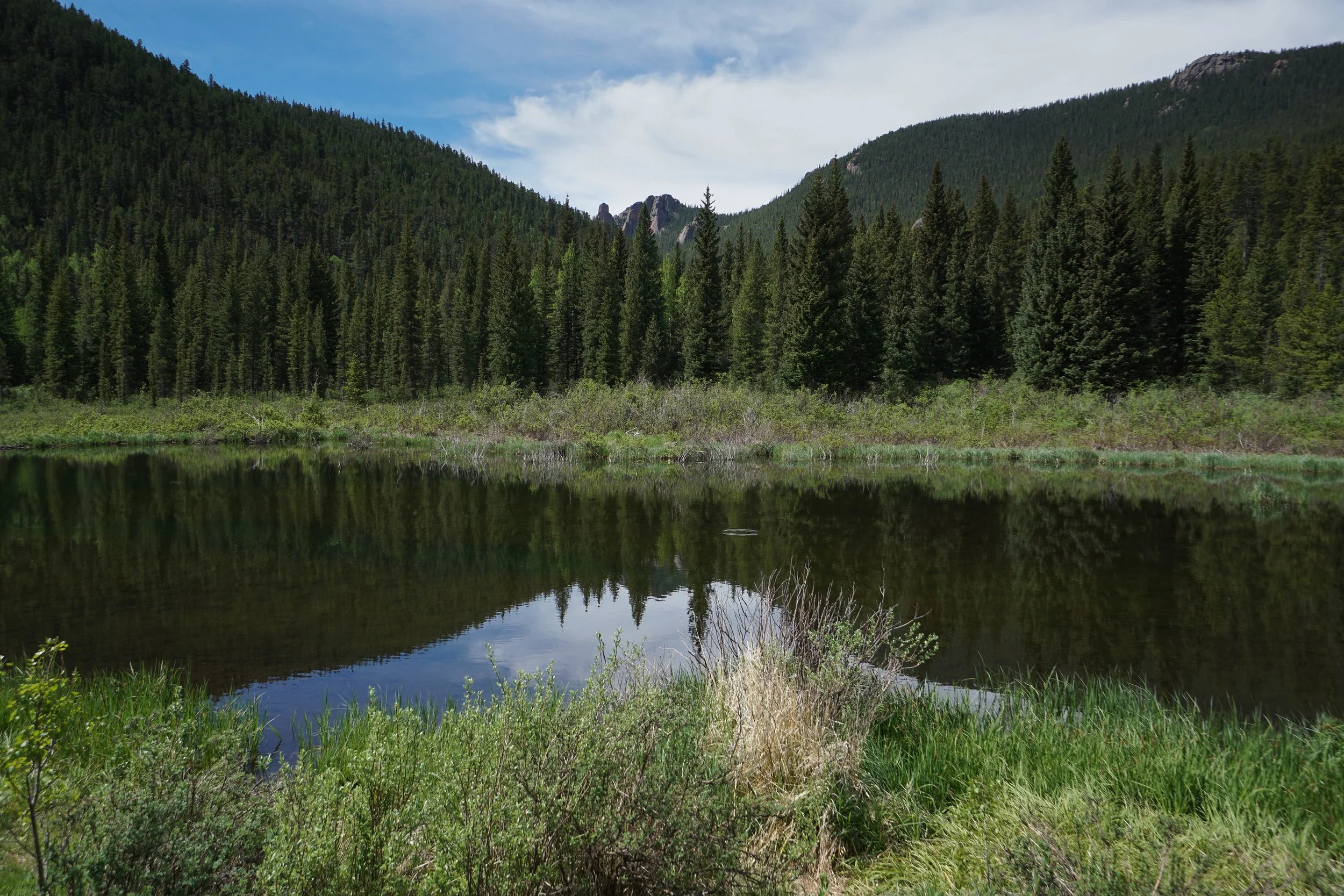 WigwamDSC04975-2-X5 (1).jpg