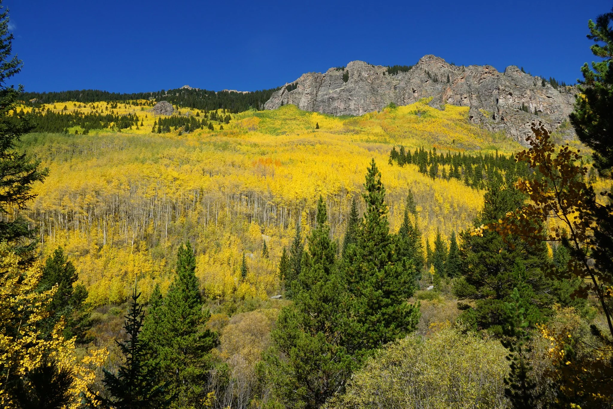 AbyssTrailDSC04845-2.jpg