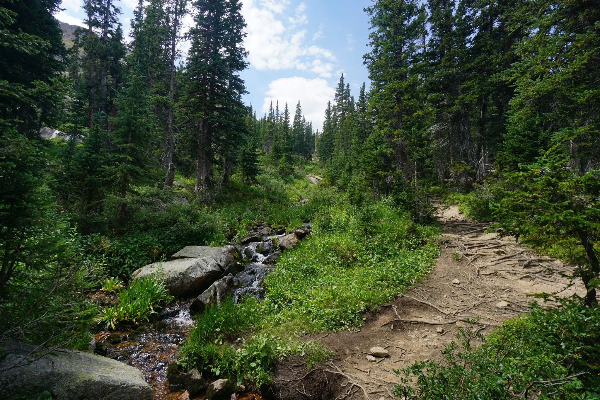 HeartLakeDSC03950-2.jpg