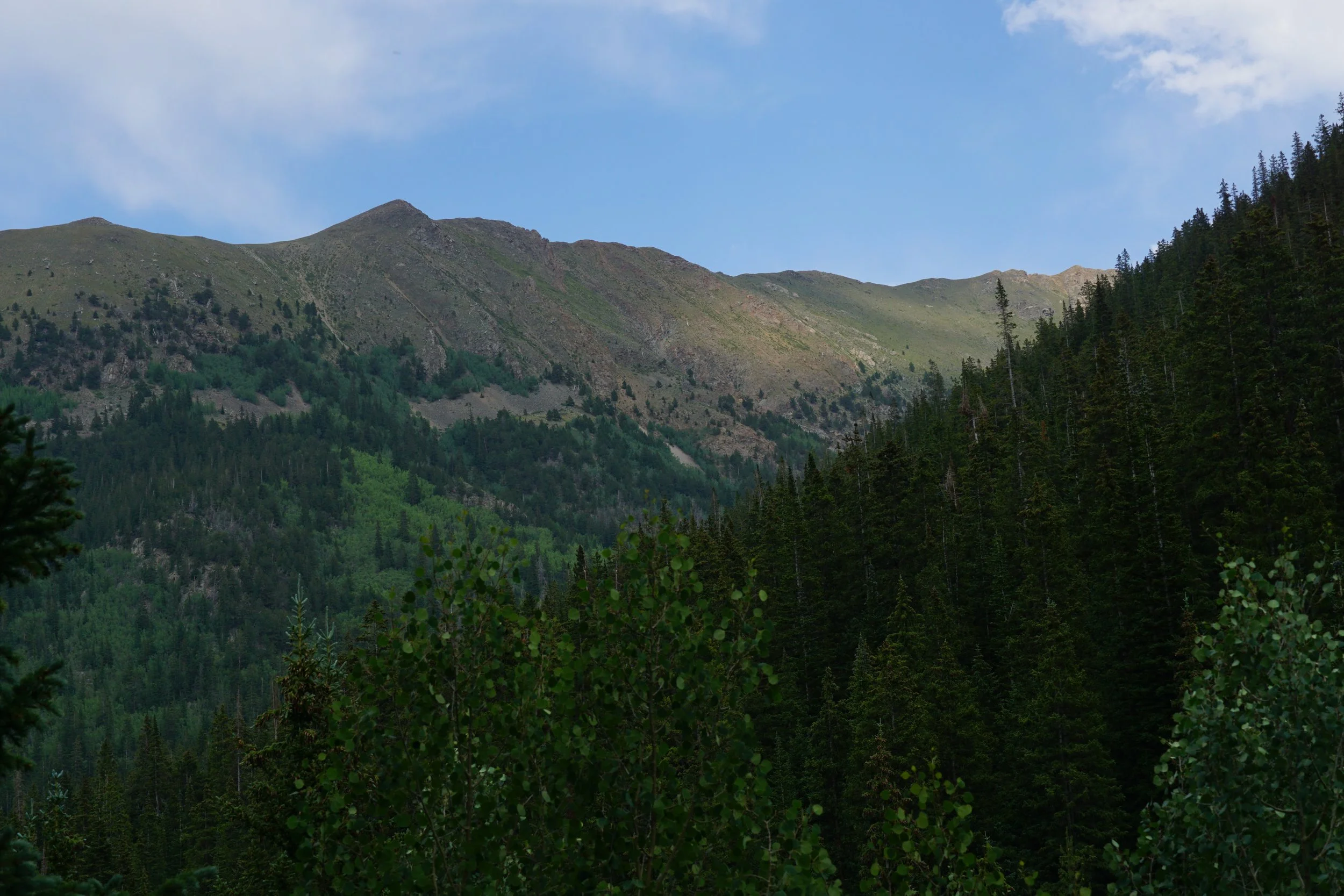 GrizzlyGulchDSC08591.JPG