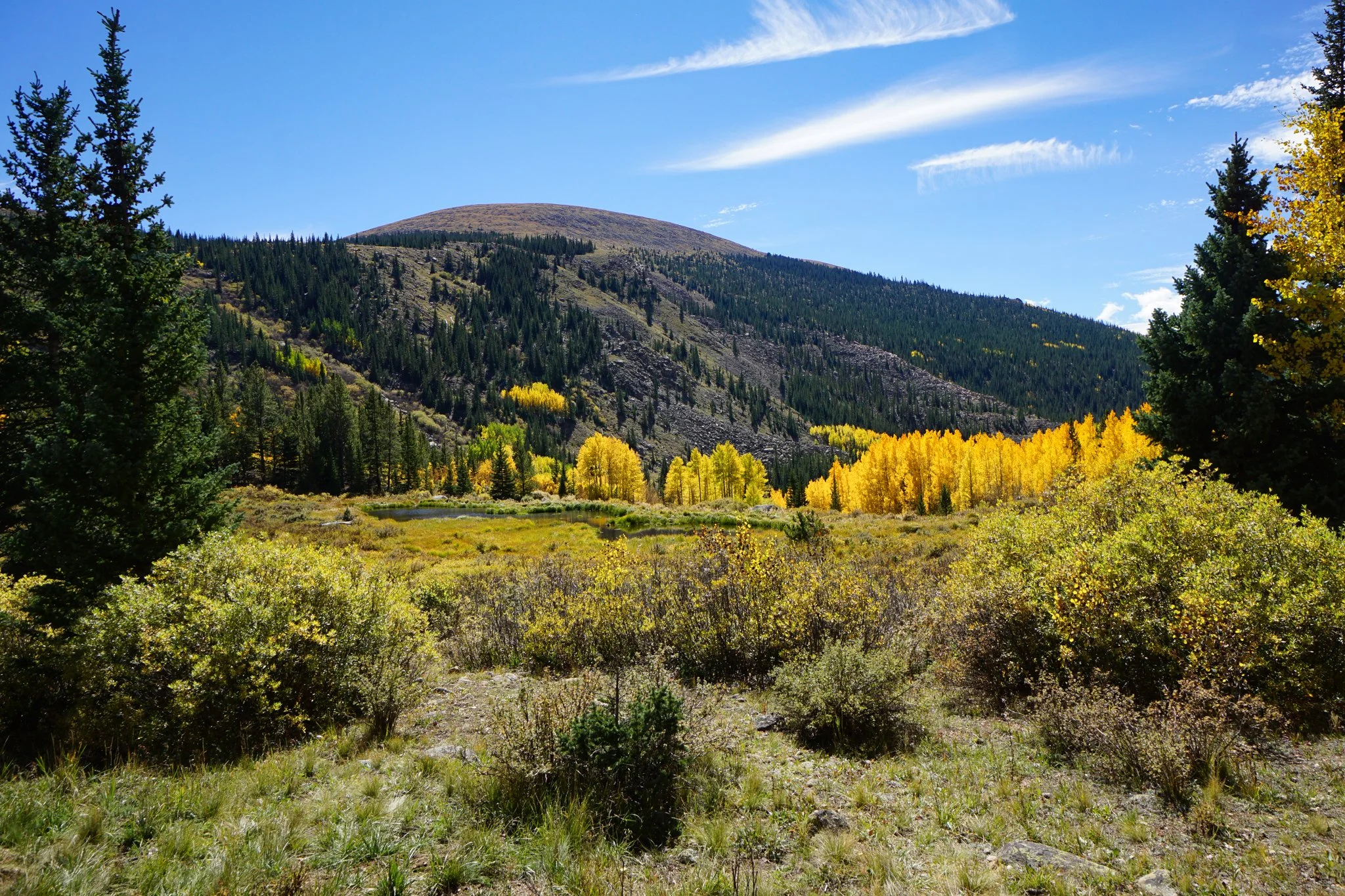 AbyssTrailDSC04948-2.jpg