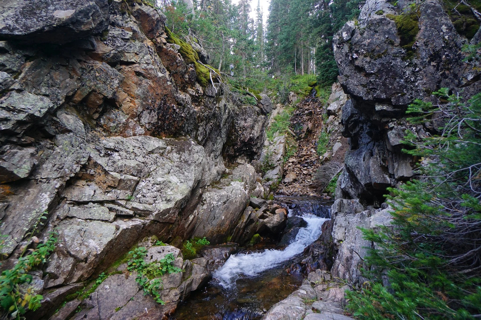 DSC04270-2.jpg