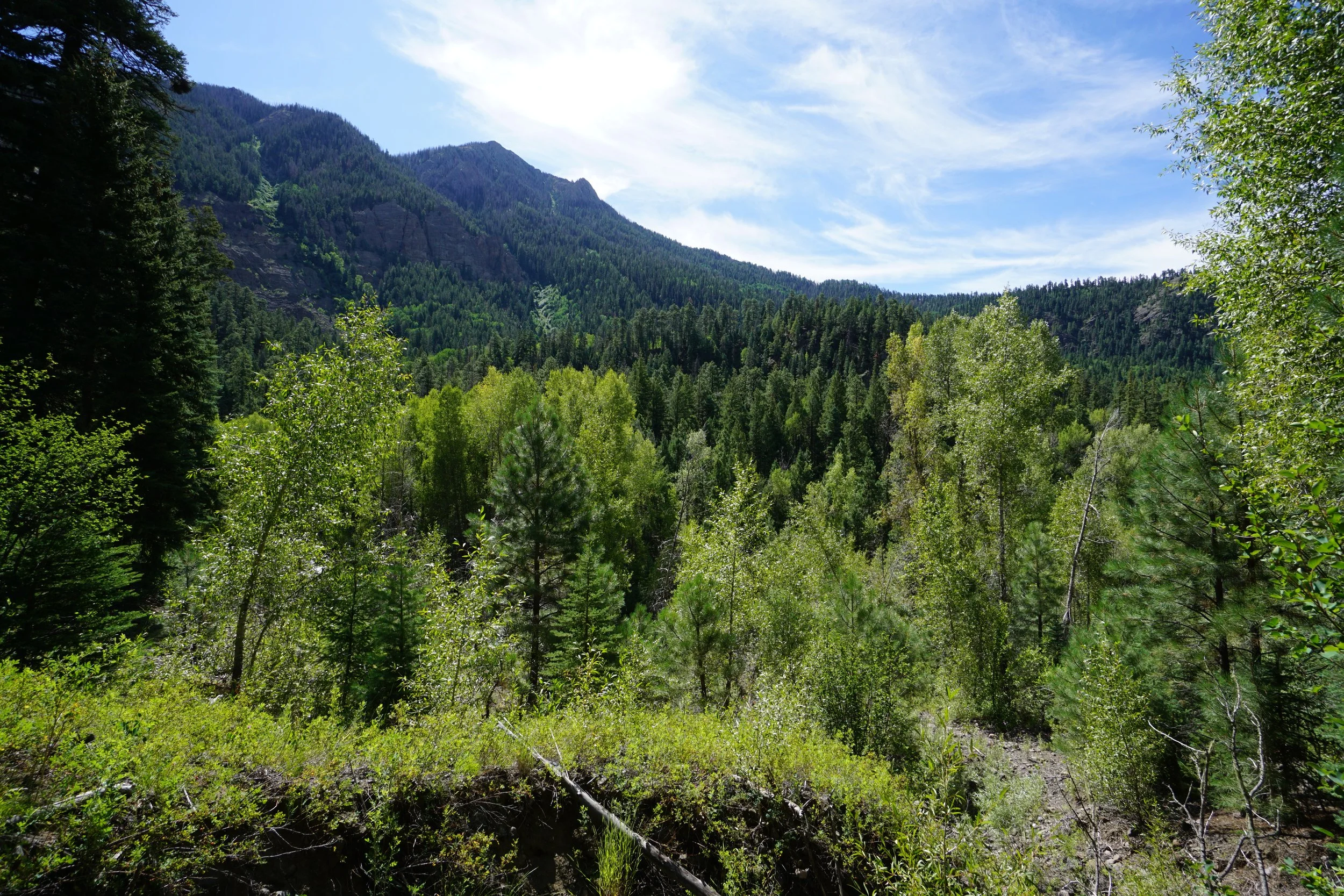 Piedra FallsDSC09020.JPG