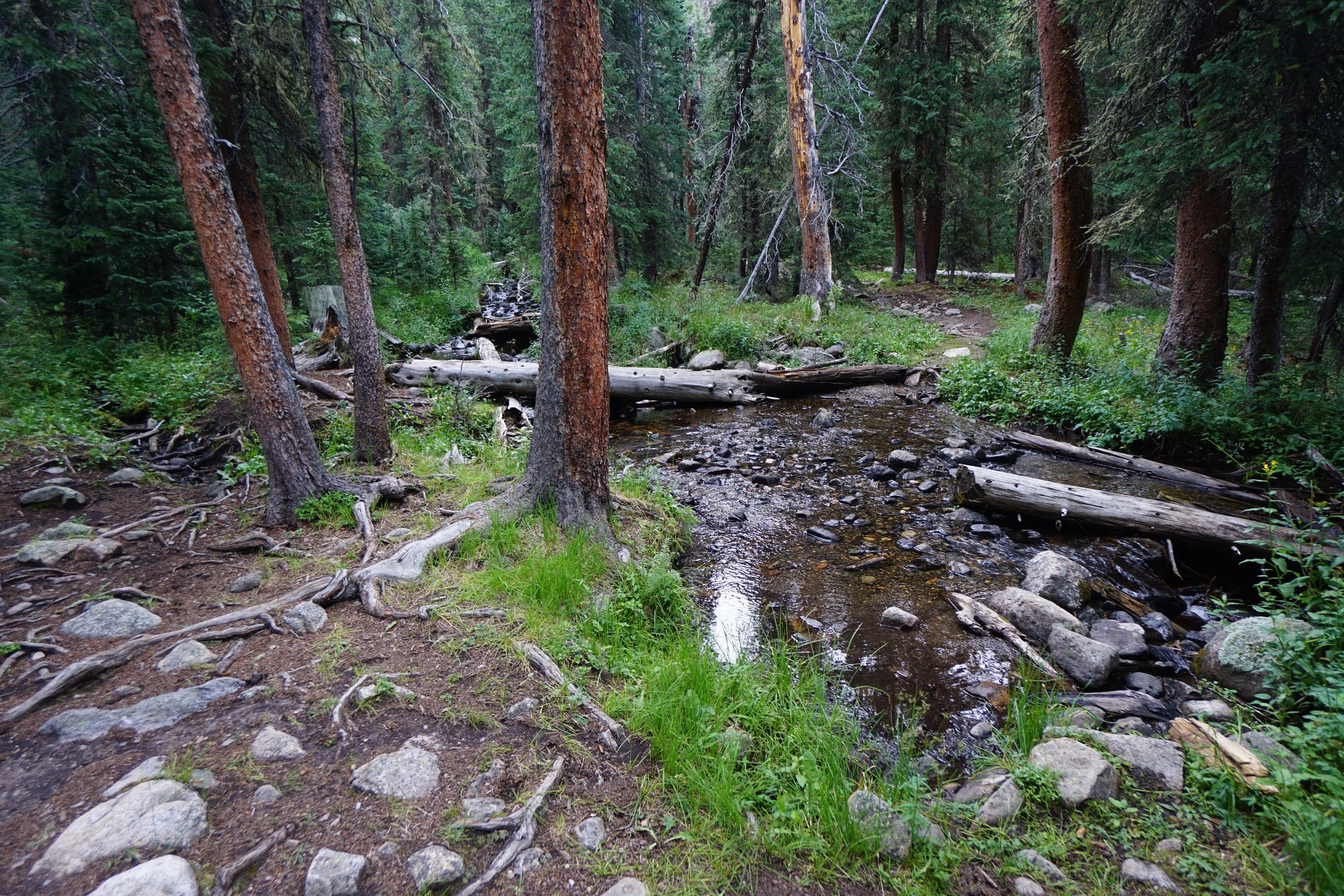 LamphierLakesDSC03697.JPG