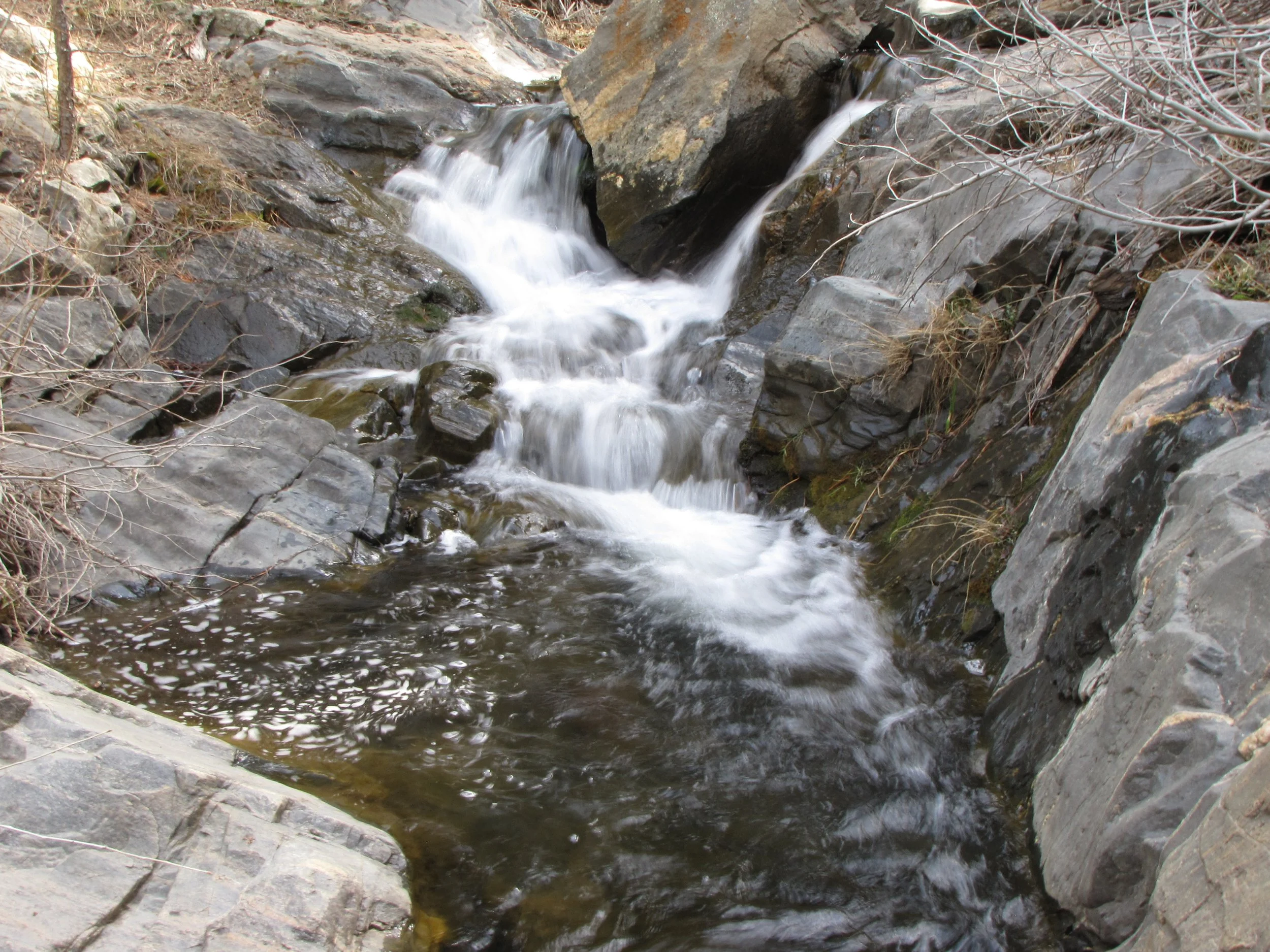 BBChavezIMG_4270.JPG