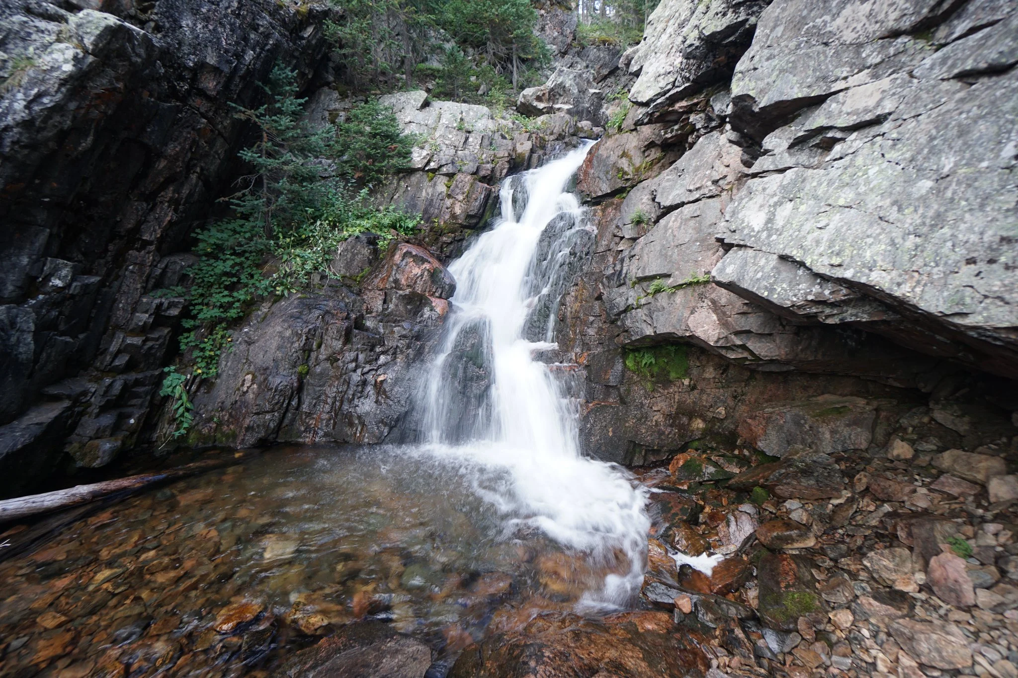 DSC04248-2.jpg