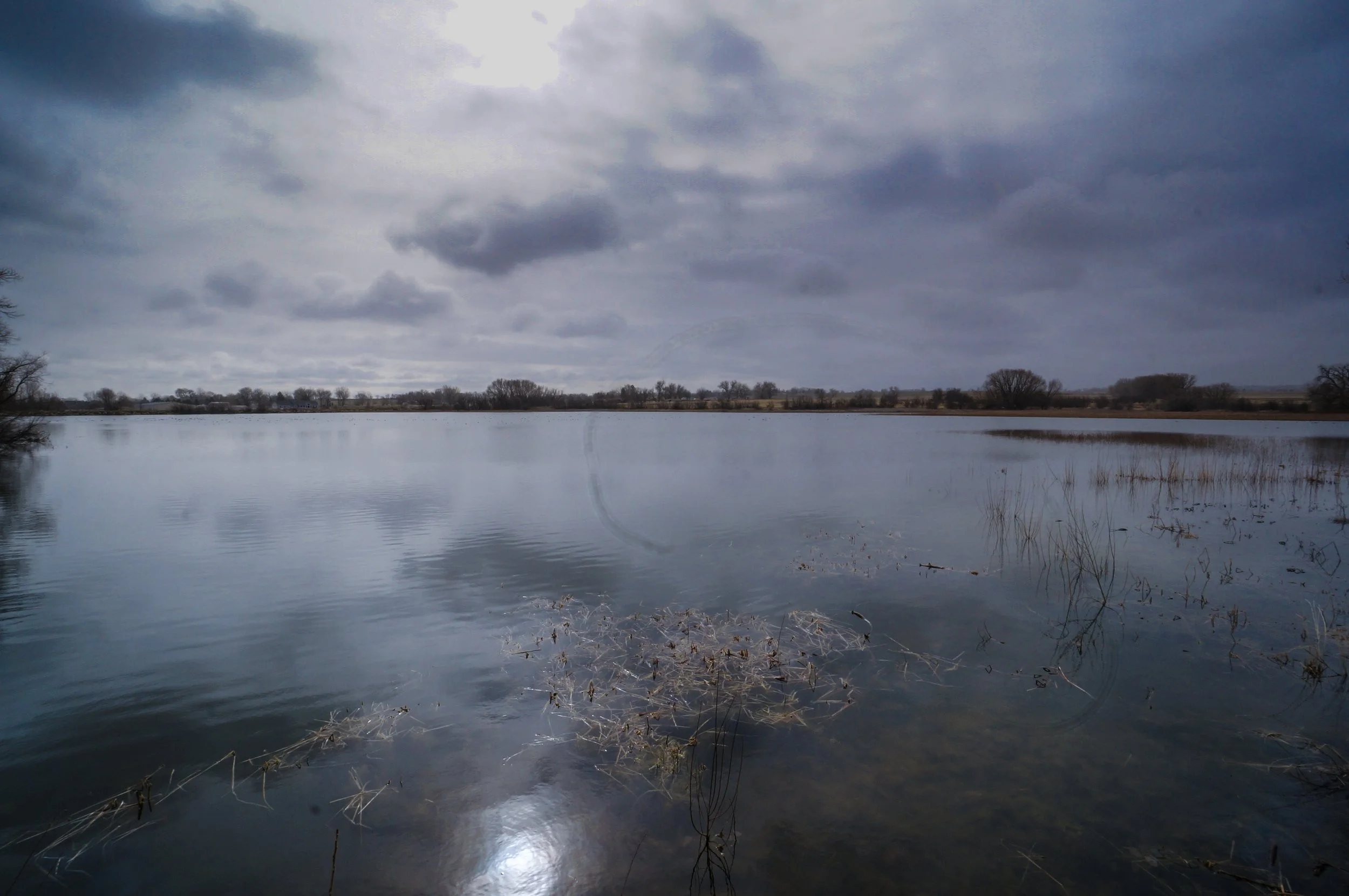NorthTellerDSC08858-1.jpg