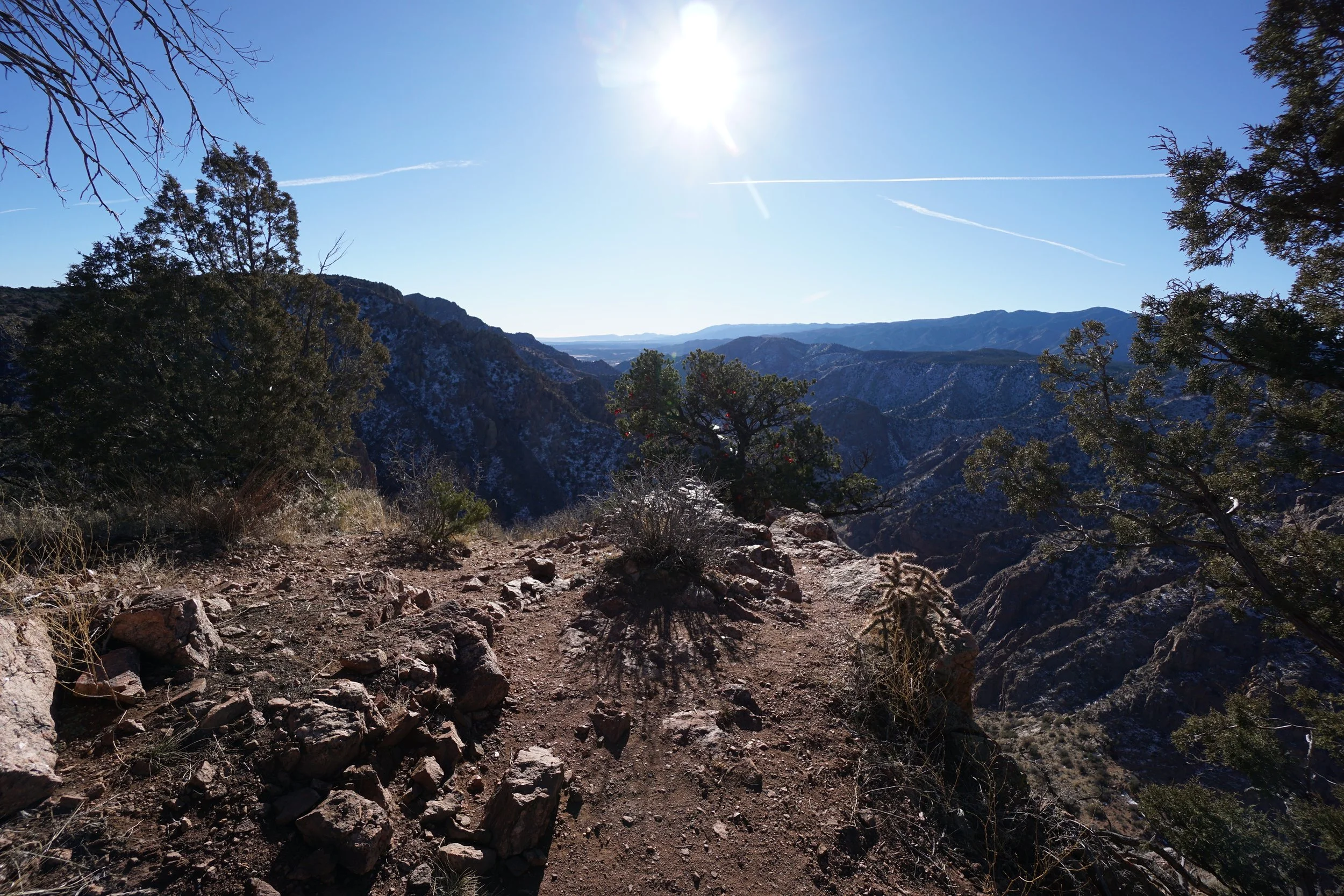 RoyalGorgeCanyonRimDSC03744-X5.jpg