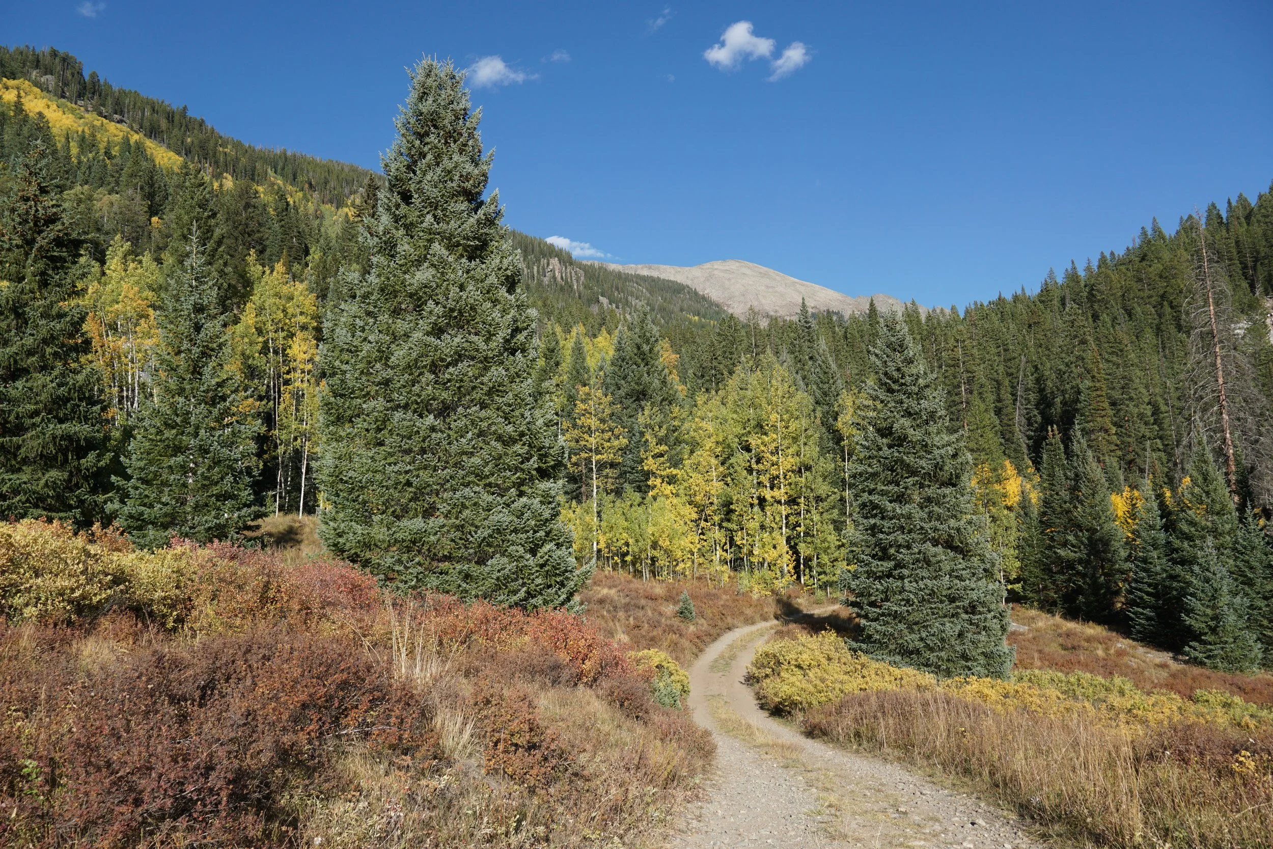 Eagle LakeDSC06696.JPG