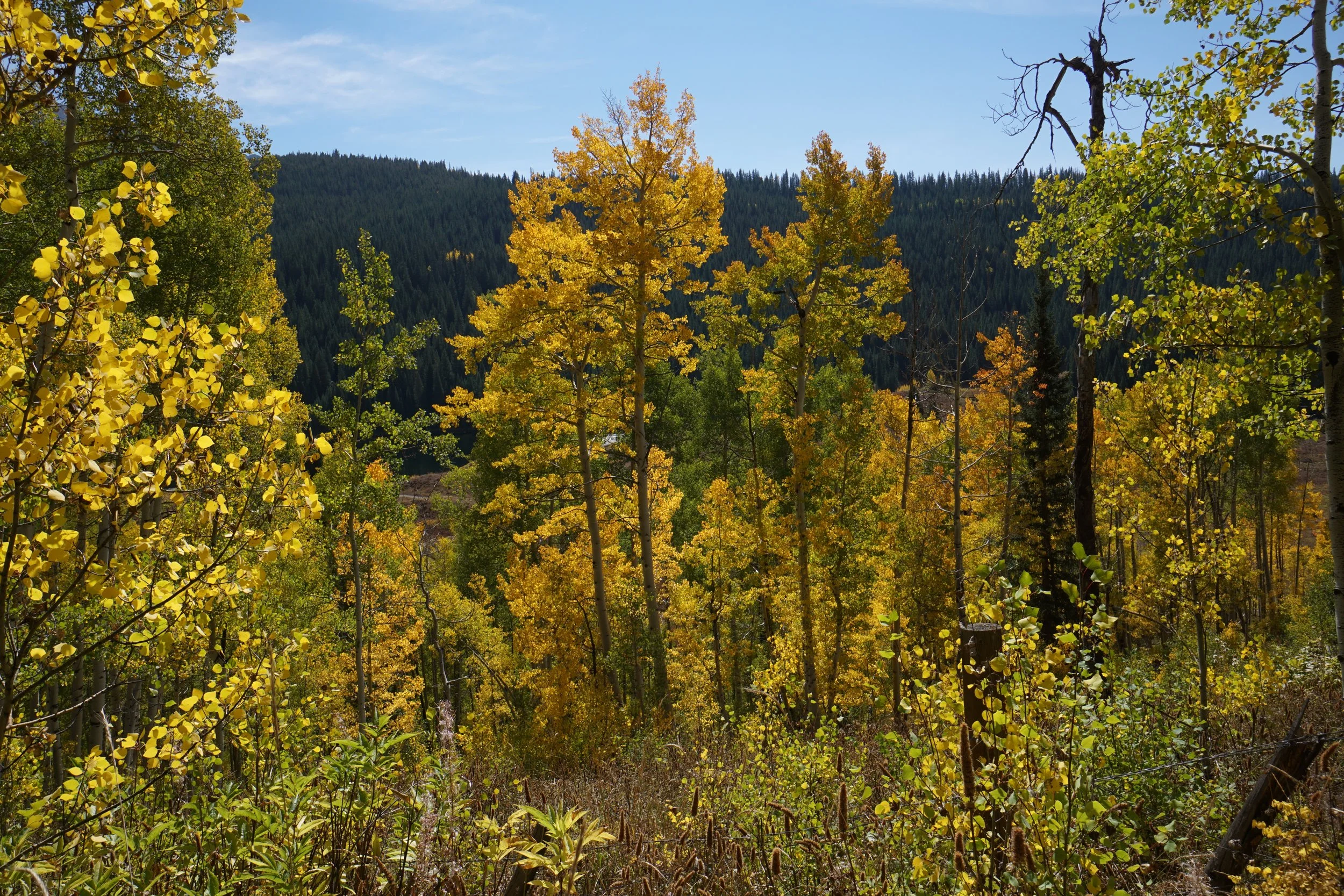 Eagle LakeDSC06974.JPG