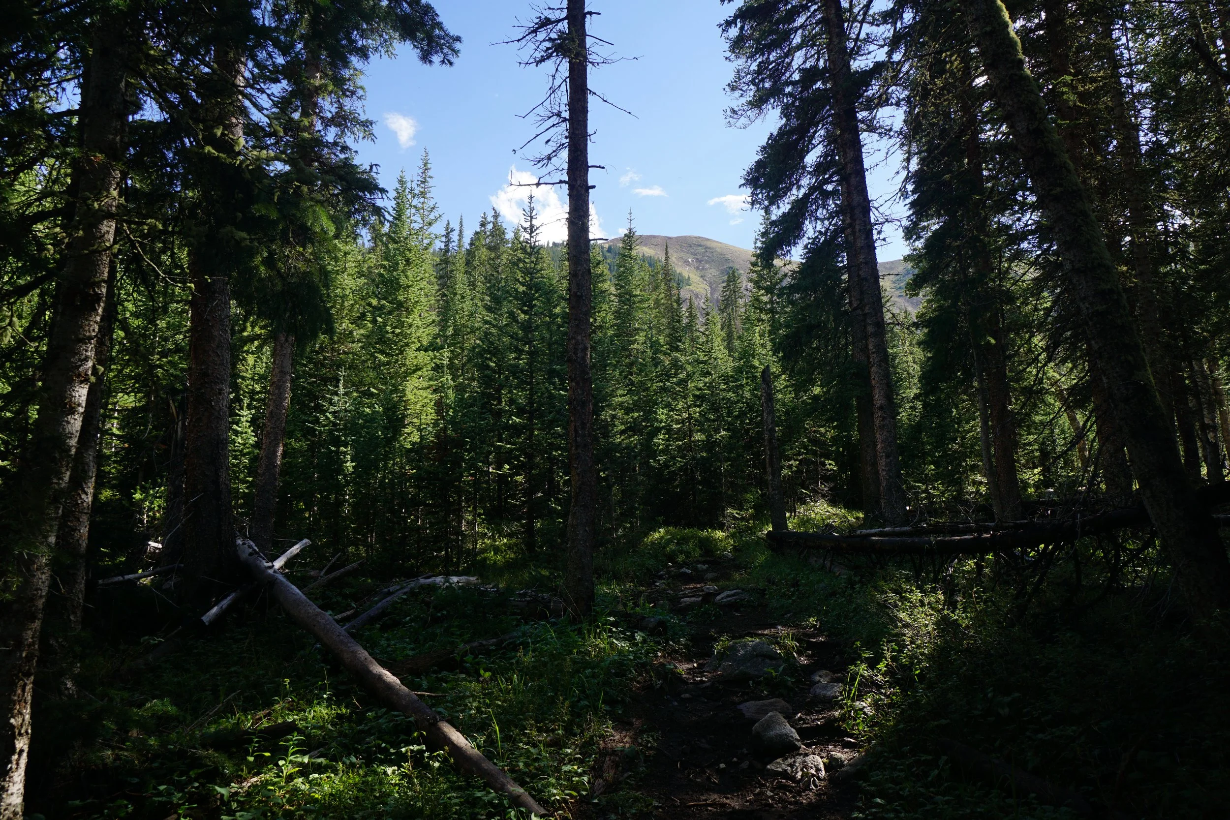 MillLakeDSC03867.JPG