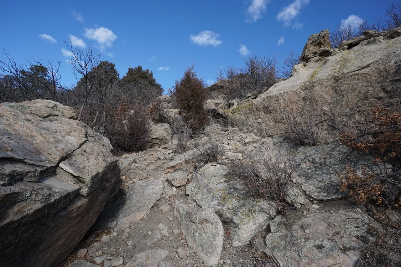 DSC01356-X2.jpg