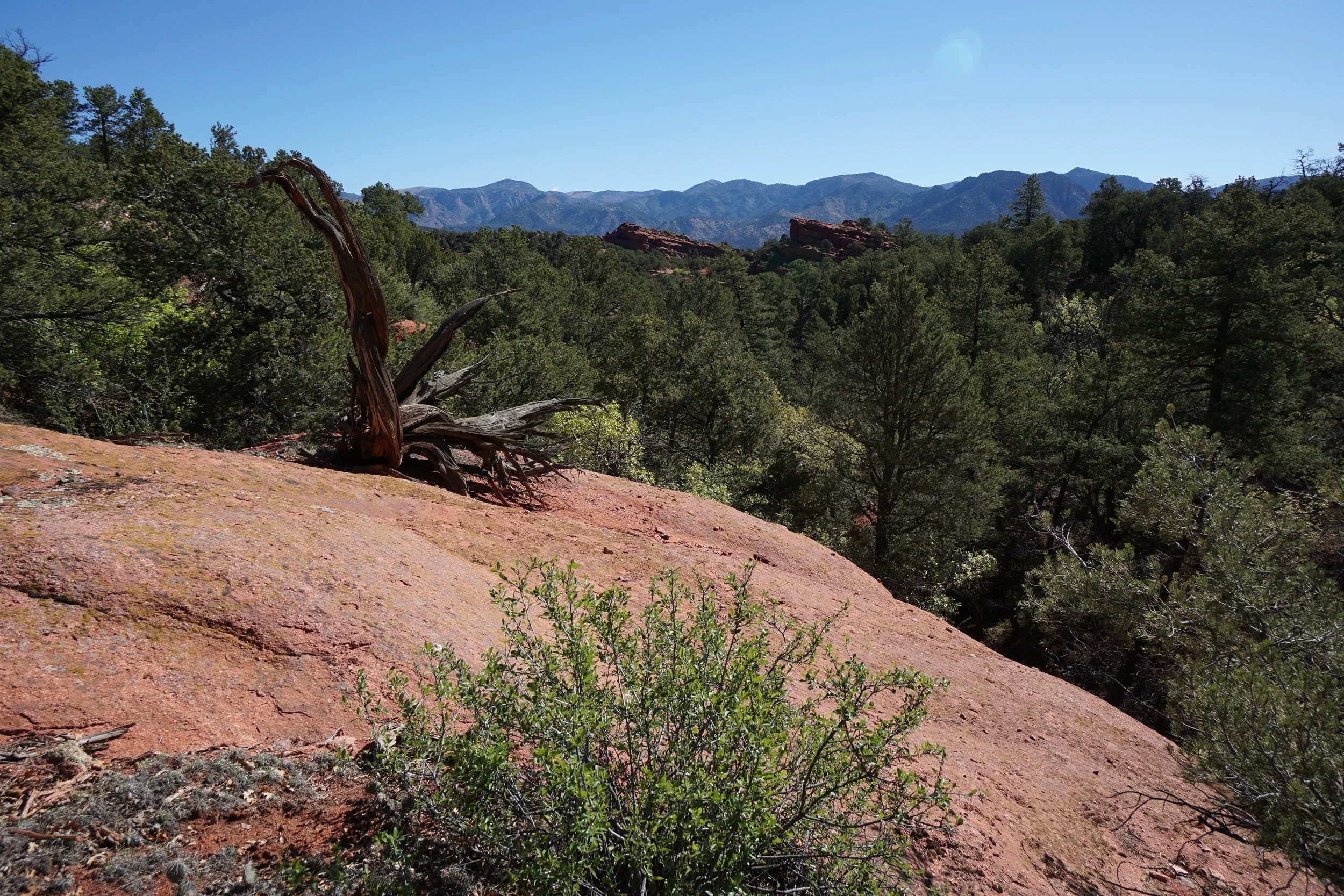 RedRockParkDSC04365-X5.jpg