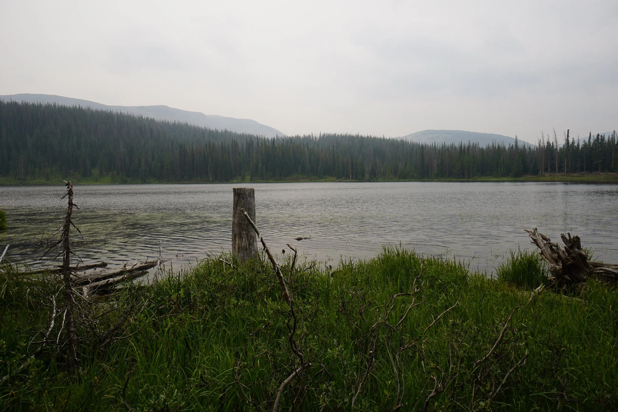 ZimmermanLakeDSC05368-X5.jpg