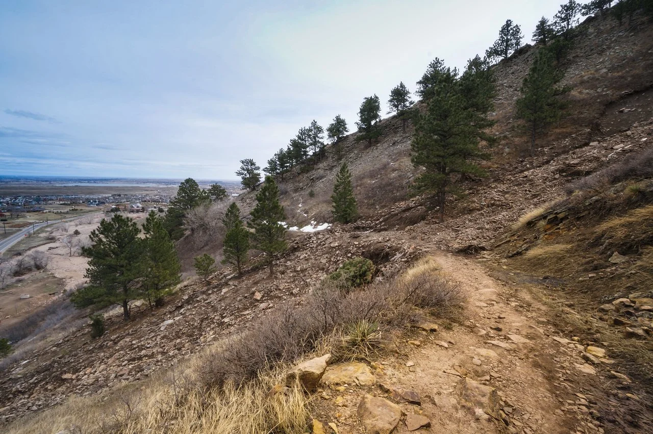 DSC08660-1 copy-X2.jpg