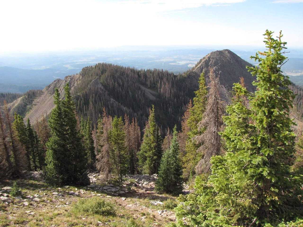 IMG_4020-X2.jpg